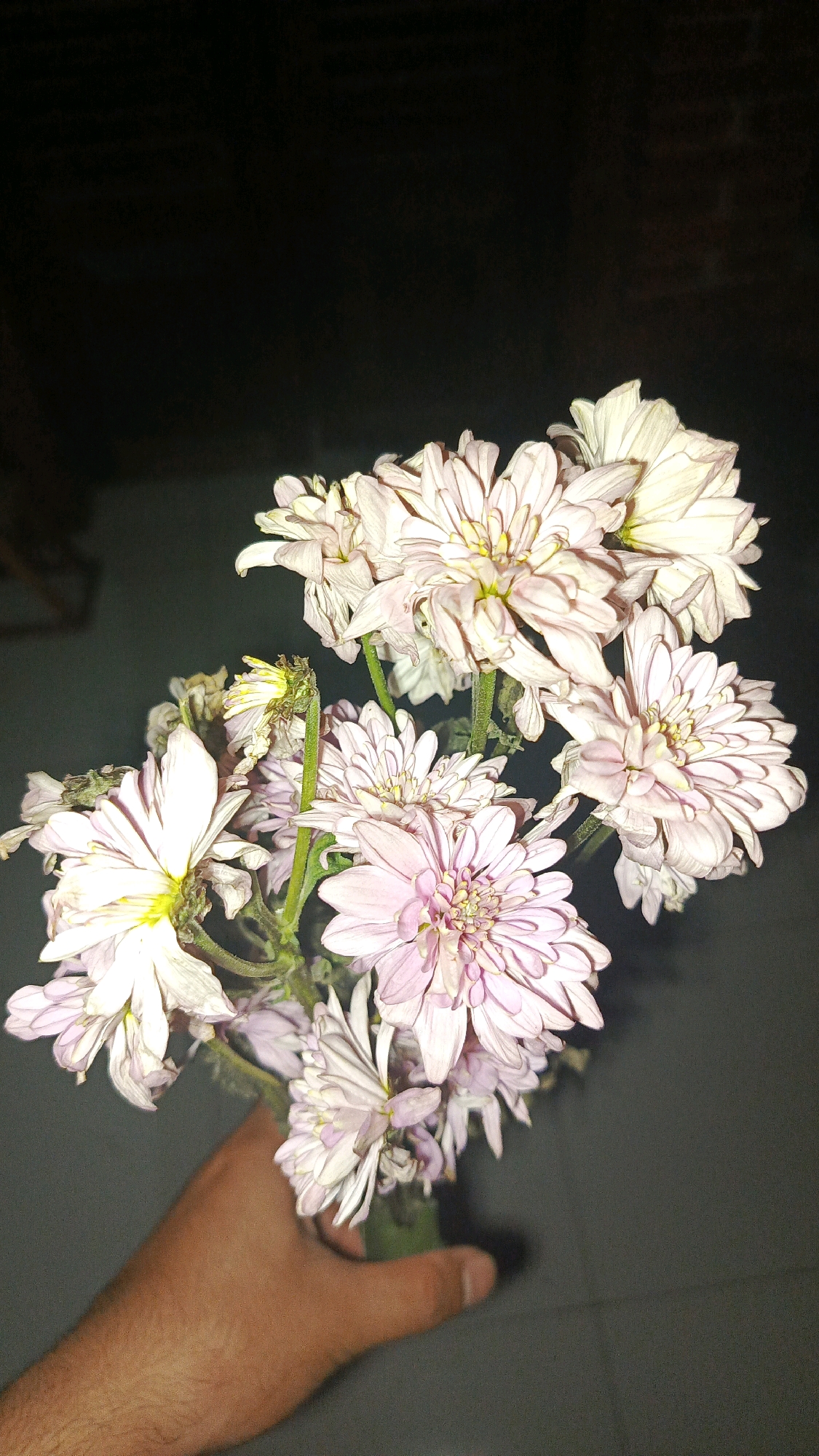 A hand with visible hair is holding a bouquet of light pink and white chrysanthemums. The flowers are in focus, with some petals slightly wilted. The background is dark, appearing to be an interior or night scene, with a textured wall visible on the left. The image was taken in Babadan, Indonesia.