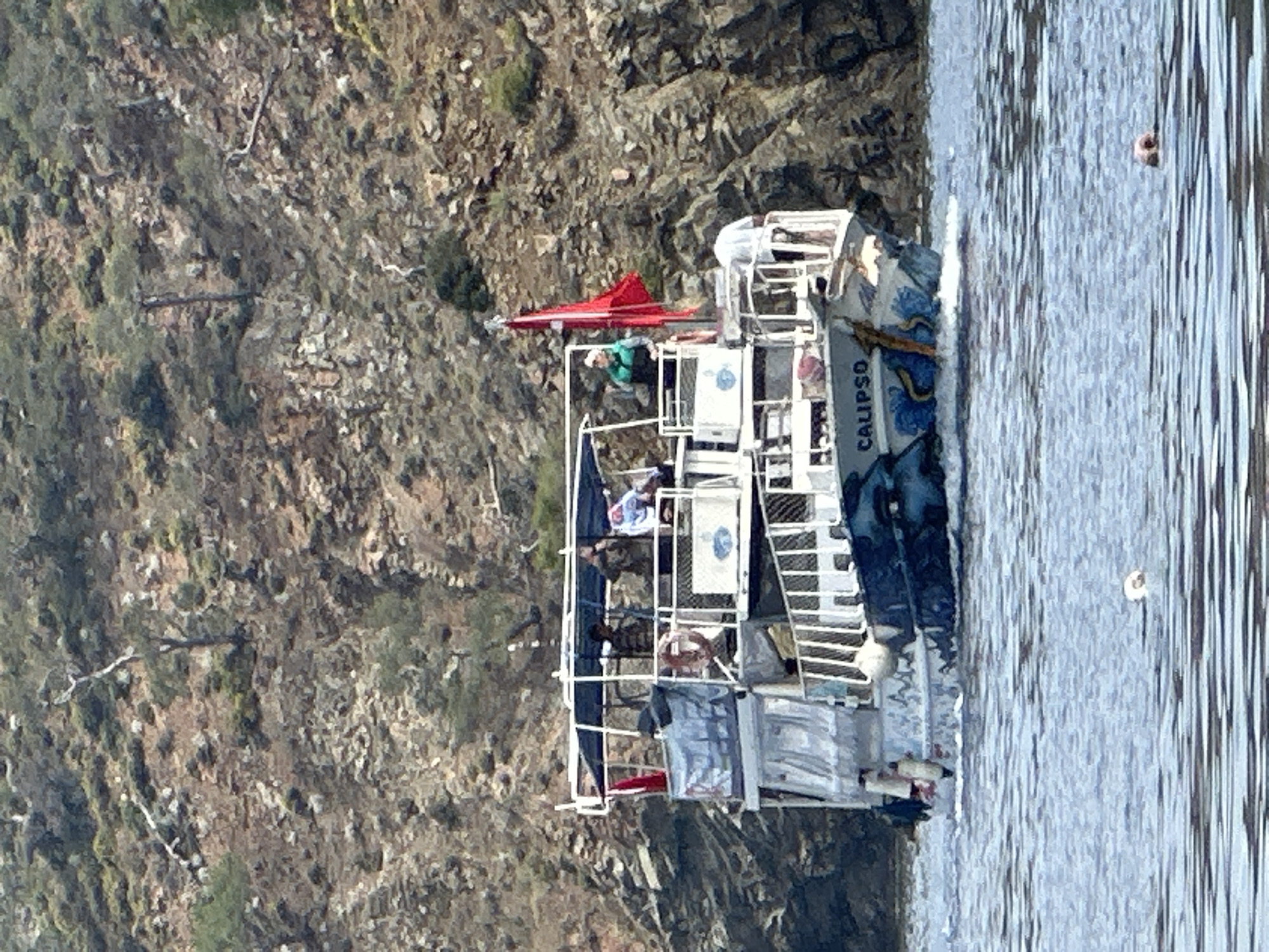 The image displays a two-deck tour boat named "CALIPSO" navigating calm, clear water alongside a rugged, rocky coastline under bright daylight. The boat is predominantly white with ornate blue patterns along its hull, particularly visible near the stern where the name "CALIPSO" is clearly printed in capital letters.
Onboard, several individuals are visible across both decks, suggesting a leisure or sightseeing activity. One person wearing a green top and white cap is standing on the upper deck, which also features a red awning or flag, and white railings. Other passengers are scattered on the lower deck, some appearing to be seated or standing, with various items stowed or present on the boat, including what looks like a lifebuoy. The boat's structure includes multiple ladders and railings.
To the right of the boat, in the water, a small white and pink buoy or float is visible. The water itself shows ripples and reflections, indicating a serene environment.
The backdrop is a steep, uneven rocky hillside, characterized by varying shades of brown, grey, and scattered patches of green vegetation, including small bushes and dry foliage. A few thin, dead tree branches are seen against the rocky terrain. The overall setting suggests a coastal excursion in a natural, rugged environment, consistent with locations like Fethiye, Turkey. The weather appears sunny and clear, contributing to the bright illumination of the scene.