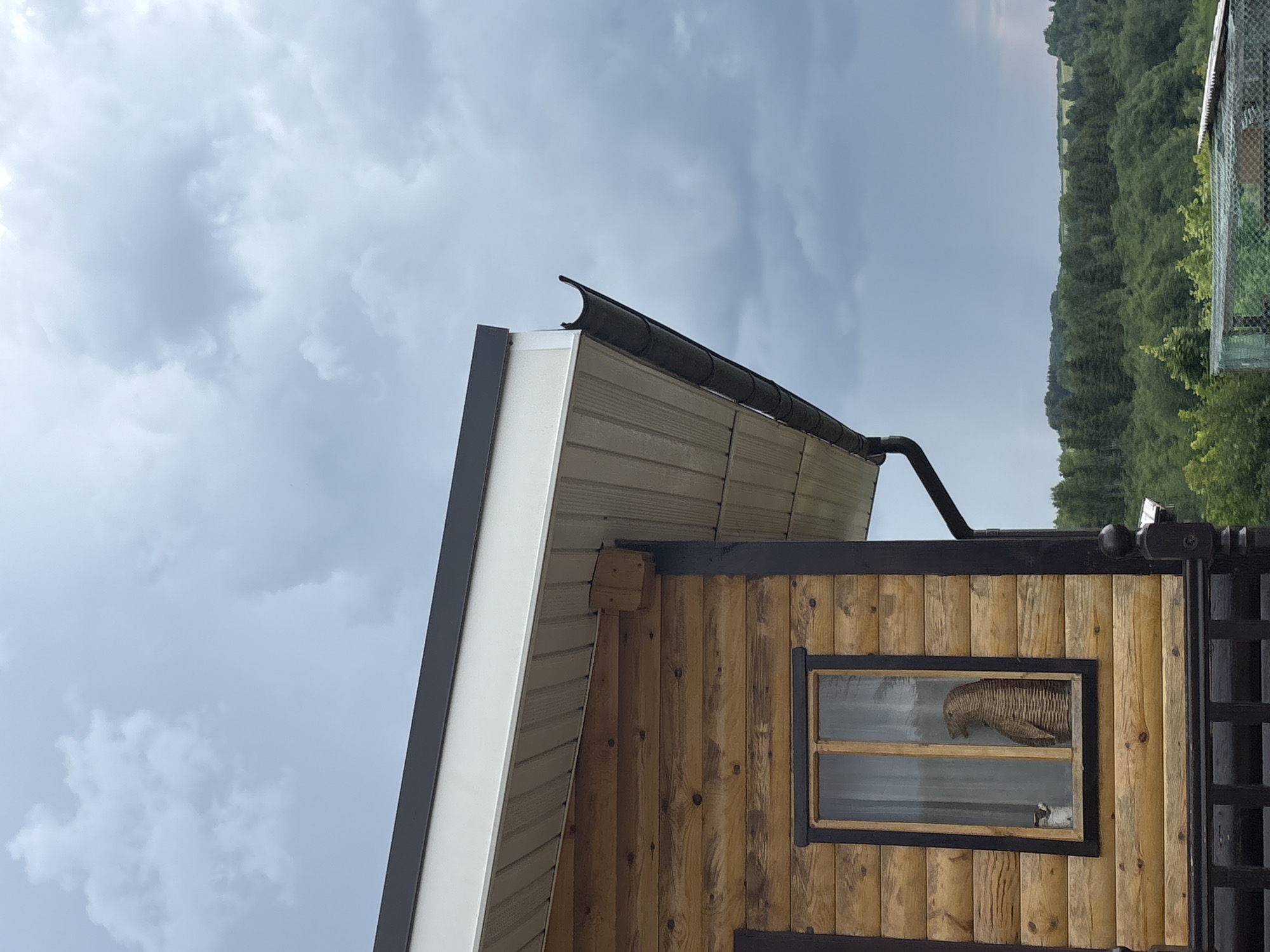 The image shows the side of a wooden log cabin under a cloudy sky. The cabin has a dark trim around the windows and a dark gutter system along the roofline. A single window is visible, with a sheer white curtain inside and a wicker object that resembles a basket or a figure. A small white cat is also visible through the window, sitting to the left of the wicker object. The background shows a dense forest of green trees on rolling hills, with a hazy sky above. The scene appears to be in a rural area.