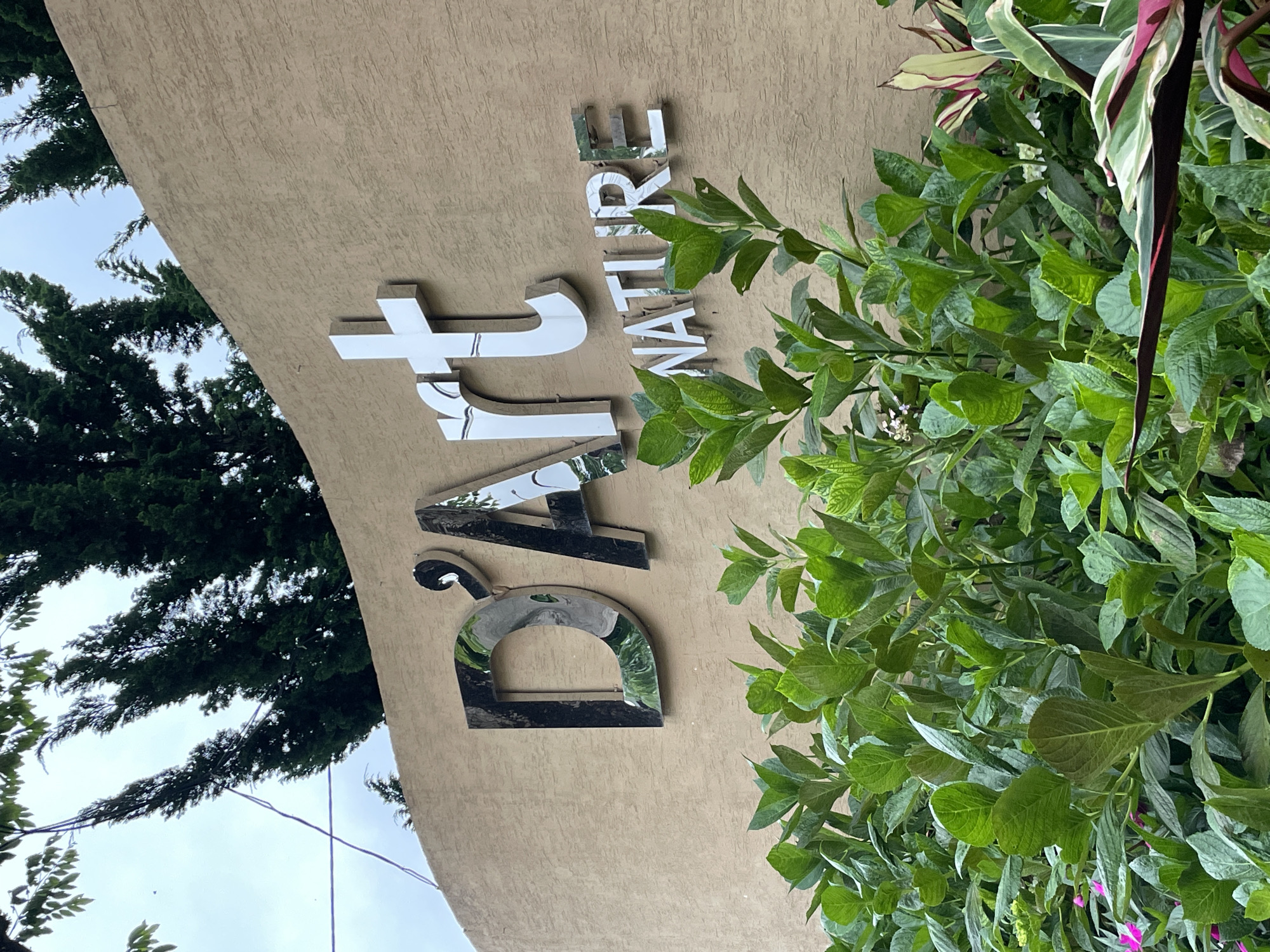 The image shows a beige textured wall with large, reflective metal letters spelling "D'Art NATURE". Above the wall, dark green evergreen trees are visible against a pale sky. In the foreground, lush green foliage, possibly hydrangeas, partially obscures the lower portion of the wall and the sign. Some small pink flowers are also visible in the lower left corner. The scene suggests an outdoor establishment, likely a business or attraction, in Da Lat, Vietnam, a city known for its cooler climate and abundant greenery.