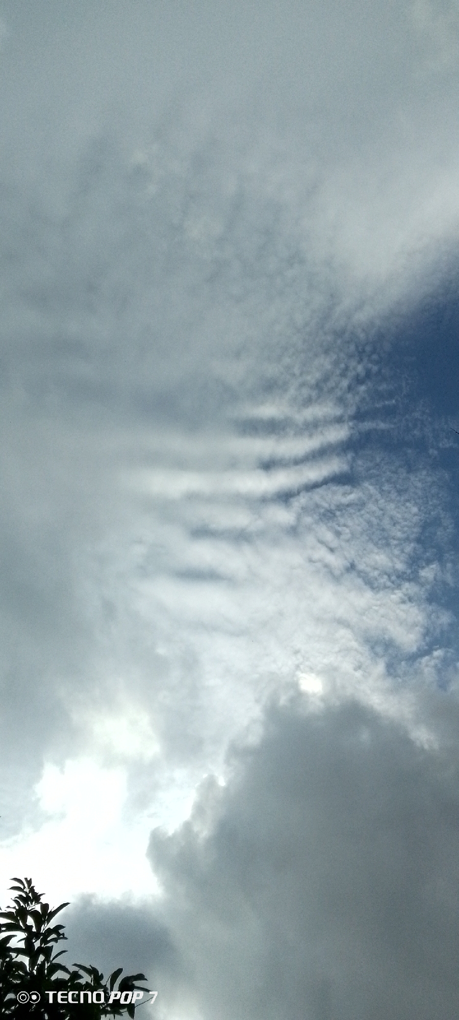 The image shows a sky filled with clouds. In the lower left corner, there is the silhouette of some foliage and a watermark that reads "TECNO POP 7". The clouds exhibit a variety of textures and densities, with some appearing wispy and thin, while others are thick and opaque. There is a bright area in the sky, suggesting the sun may be behind the clouds, possibly indicating overcast or partly cloudy weather. The sky is a mix of blue and white tones. The location of Altagracia, Venezuela, is mentioned in the prompt but is not visually discernible from the image itself.