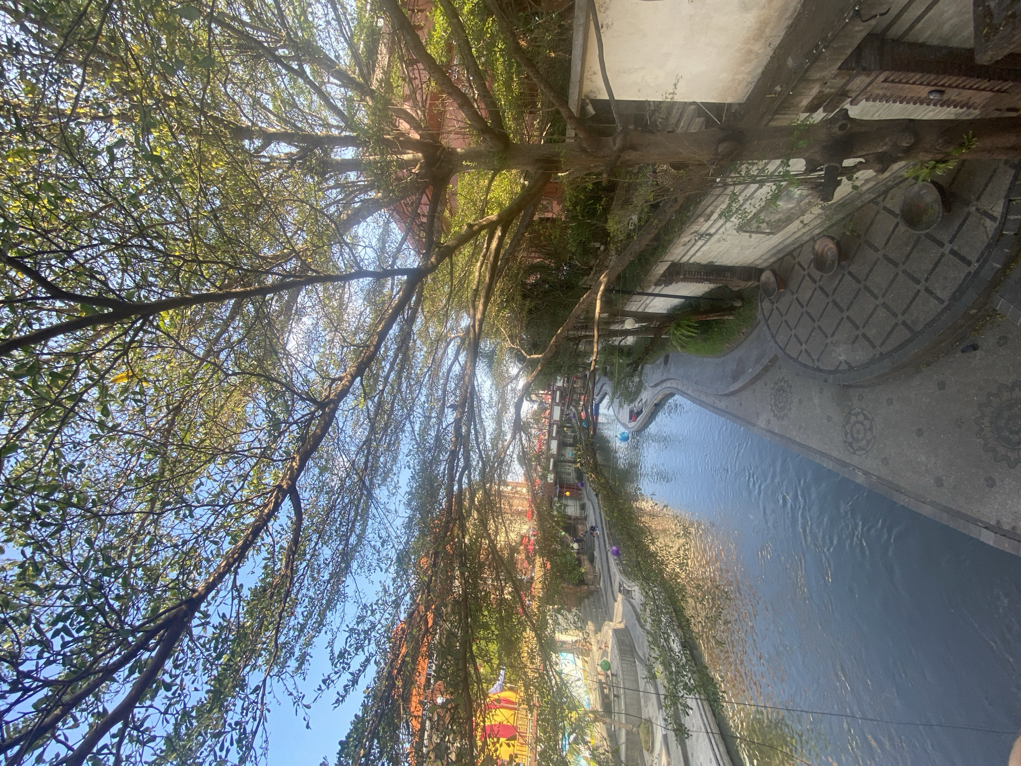 The image captures a tranquil canal scene in Denpasar, Indonesia, likely within a pedestrianized area or marketplace. The water of the canal reflects the warm tones of the surrounding buildings and the dappled sunlight filtering through the branches of a large, mature tree that dominates the foreground and midground. The tree's branches, laden with green leaves, stretch across the frame, creating a natural canopy.
Along the canal's edge, a paved walkway with decorative patterned tiles is visible. Several rounded planters, some empty and some with dried vegetation, are placed along this walkway. On the left side of the canal, terraced steps lead up to buildings that exhibit vibrant colors, with hints of yellow, orange, and red architecture visible. A few colorful spherical decorations, possibly lanterns, are suspended along the canal or in the trees. A narrow, curving path runs alongside the canal on the left, with some greenery and seating areas visible.
On the right side of the canal, a textured, light-colored wall runs parallel to the water. The base of this wall is adorned with brickwork. Further along, parts of buildings with warm-toned walls and what appear to be wooden doors or window frames are discernible. The sky is a clear, bright blue, indicating fair weather. A few people are present, casually walking or sitting near the canal, enjoying the peaceful ambiance. The scene suggests a well-maintained public space, possibly a popular tourist spot or a local gathering place. The overall impression is one of a sunlit, urban oasis characterized by water, vegetation, and colorful architecture.