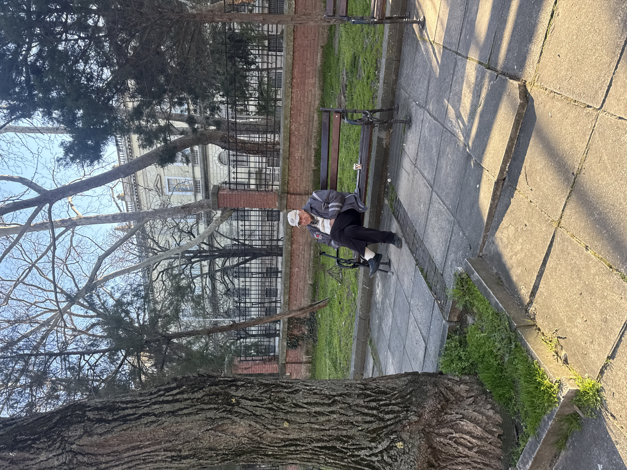 An elderly man sits on a park bench in Varna, Bulgaria. He wears a grey jacket and a white baseball cap. His legs are covered with bandages. The bench is beside a brick wall with a black iron fence. Behind the wall is a building with many windows. Trees are visible in the foreground, with one large tree trunk dominating the lower portion of the frame. The ground is paved with concrete tiles, and there is grass between the walkway and the brick wall. Shadows fall across the paving stones.
