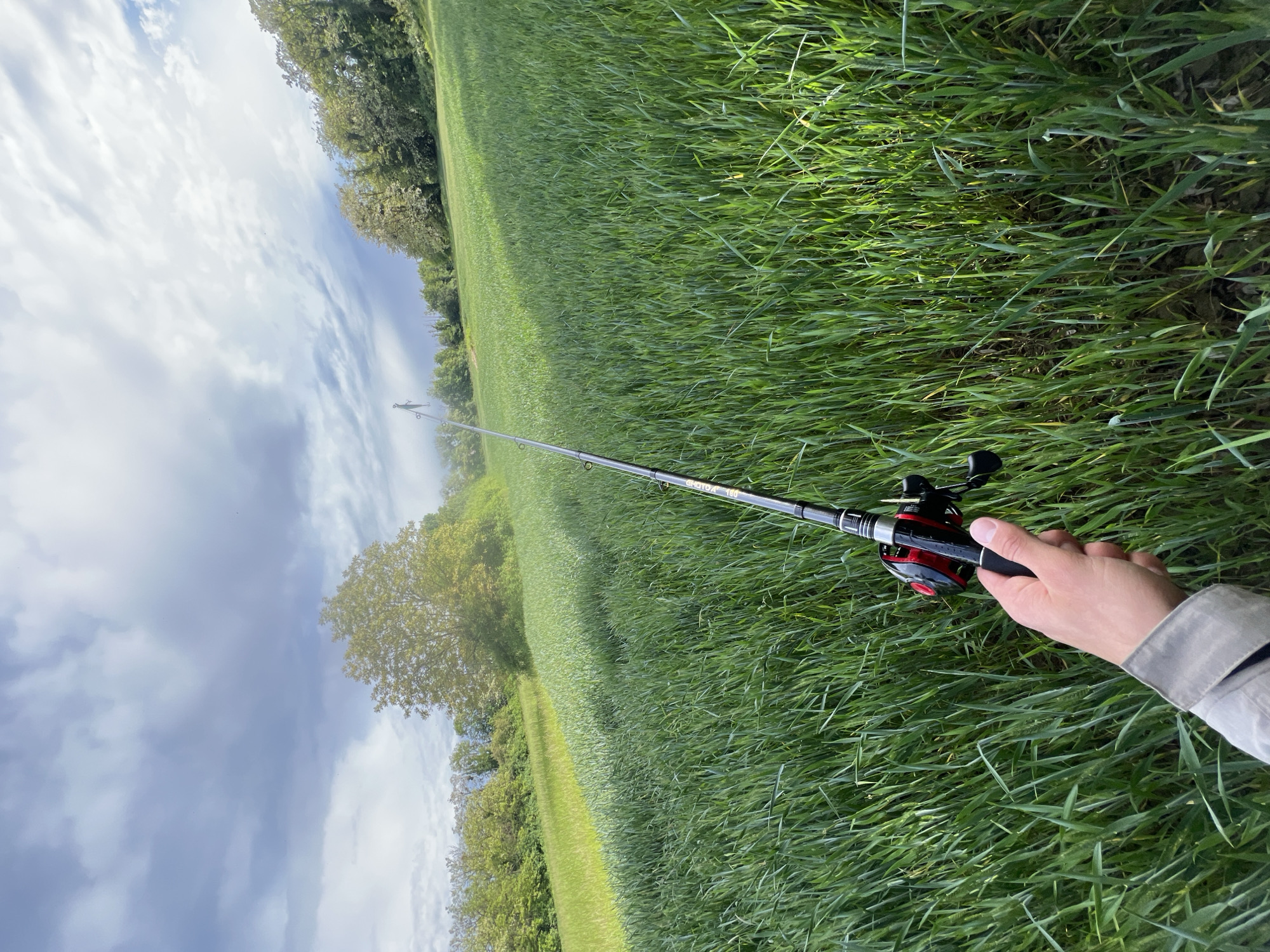 A person holds a fishing rod in a grassy field. The rod is black with a red reel. The field is green with tall grass. In the background are trees and a cloudy sky. The photo appears to have been taken at an angle. The specific location in Strasbourg, France cannot be determined based on the visual information provided.