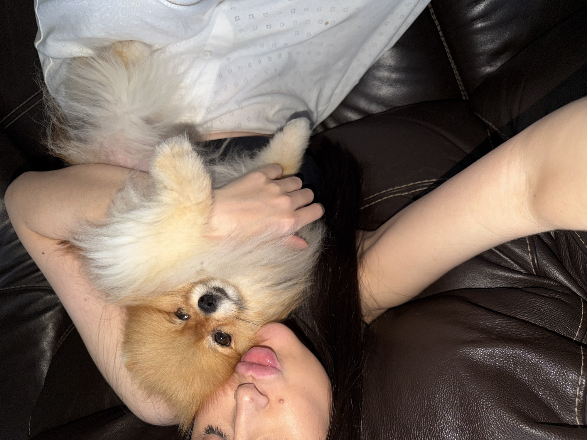 A vertically oriented, close-up photograph captures a heartwarming indoor scene featuring a person and a small, fluffy Pomeranian dog. Both subjects are relaxing on a dark brown leather couch or armchair, suggesting a cozy home environment in Khimki, Russia. The person, with long dark hair and wearing a white textured top, is lying down. Her face is visible in the lower right portion of the frame, with her lips gently puckered in an expression of affection or playfulness, possibly directed at the dog. Her arm is positioned beneath the dog, providing a resting place. The small Pomeranian, with light brown and cream-colored fur, is nestled close to the person's head, gazing directly into the camera with bright eyes. One of the person's hands is gently resting on the dog's back. The image conveys a strong sense of comfort, companionship, and an affectionate bond between the pet owner and their dog. There is no visible text in the image. The lighting is artificial, suggesting an indoor setting at an indeterminate time of day.