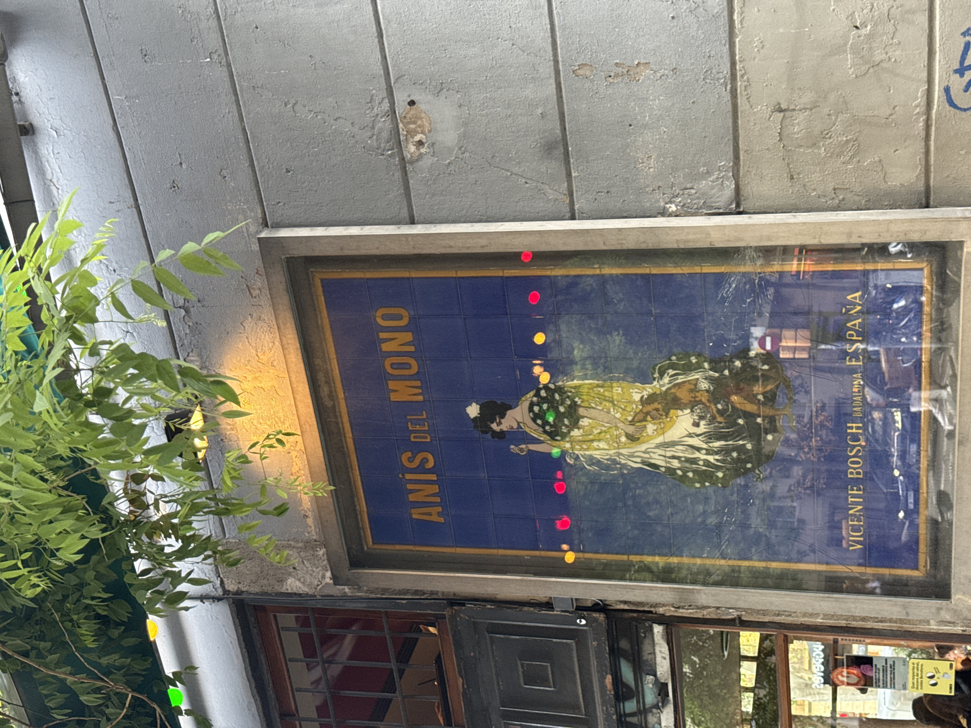 A vertical street scene showcases a vintage-style tiled advertisement for "ANÍS DEL MONO" embedded within a building's facade. The artwork, set against a background of blue tiles, features a stylized woman in a long, flowing, patterned yellow and green dress, appearing to be dancing or in motion. She has dark hair adorned with a white flower and holds what resembles castanets. Small, circular colored lights (red, yellow, green) are either integrated into the artwork or reflected on its protective glass.
Prominently displayed on the left side of the artwork is the text "ANÍS DEL MONO". On the right, the words "VICENTE BOSCH BADALONA, ESPAÑA" are visible, indicating the manufacturer and its location.
The wall directly above the advertisement is a weathered, grey surface with noticeable peeling paint and signs of age. To the left, vibrant green foliage from a plant or vine partially obscures the wall and casts soft shadows, illuminated by a warm light source from below. Beneath the tiled sign, dark-framed windows and a dark, possibly wooden, door are visible, reflecting parts of the urban environment and interior details. The scene depicts a static moment in a characterful urban setting.