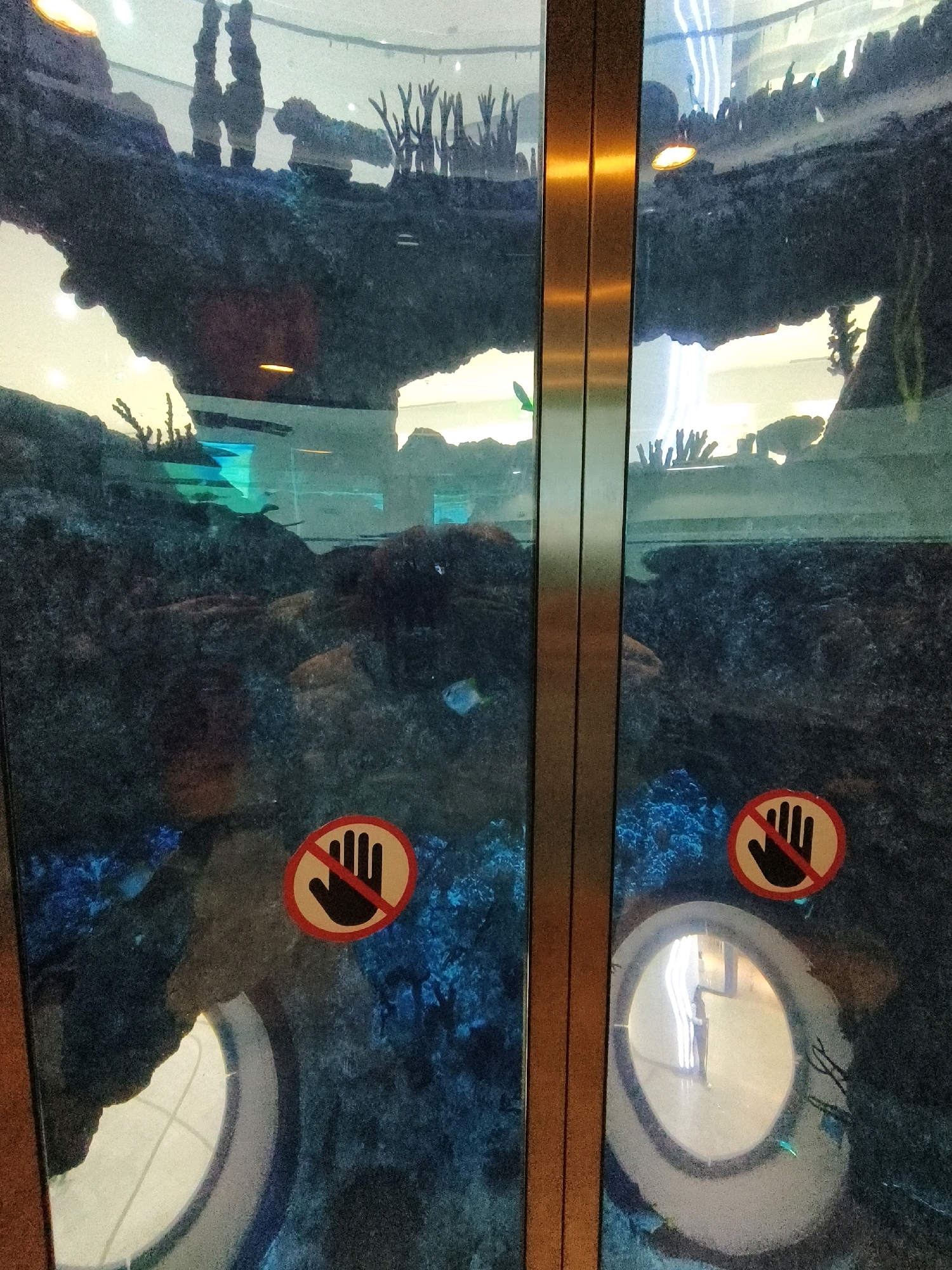 The image shows the interior of a large aquarium, likely within a public exhibition space. The main focus is the underwater environment, featuring dark, rocky formations that resemble coral reefs or underwater caves, with some artificial structures and lighting visible. There are glimpses of what appear to be fish or marine life, though they are not clearly distinguishable. Two "no touching" signs, depicted as a red circle with a diagonal line over a hand symbol, are affixed to the glass in the foreground. These signs are identical and located on either side of the vertical metal frame that divides the image. Reflections are visible on the glass, including some indistinct figures of people and interior lighting, suggesting the aquarium is indoors and illuminated. In the lower portion of the image, two circular viewing windows are present, offering a slightly different perspective of the aquarium's contents and surroundings. The overall scene is dark with some areas of bright, artificial light, creating a dramatic and immersive atmosphere typical of an aquarium exhibit. The exact location in Moscow, Russia, cannot be determined from the visual information provided.