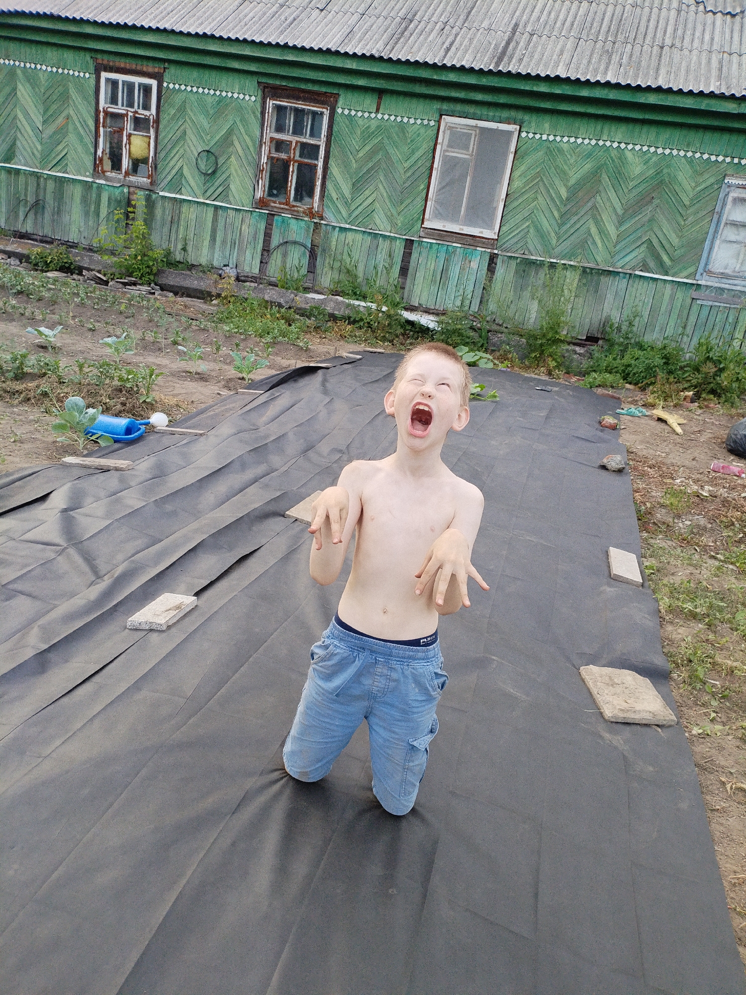 A shirtless young boy with fair skin and light brown hair is kneeling on a black tarp laid out on the ground. He is looking up and to his left with his mouth wide open in a yell or shout, his eyes squeezed shut. His arms are raised and bent at the elbows, with his hands open and fingers spread. He is wearing light blue denim pants with a dark waistband. The tarp appears to be in a garden or yard, with some sparse green plants and dirt visible around it. Several flat, light-colored stones are placed on the tarp.
In the background, a weathered, green wooden house with a corrugated metal roof stands. The house has multiple windows, some of which appear broken or covered with screens. The siding of the house is paneled in a zig-zag pattern. A wooden fence runs along the front of the house. The overall setting suggests a rural or semi-rural location. The lighting indicates it is daytime, likely with overcast or diffused sunlight, as there are no strong shadows. The scene evokes a sense of playful energy or perhaps mild distress from the boy.
The waistband of the boy's pants has visible dark text, possibly a brand name, reading "FRUIT OF THE LOOM".