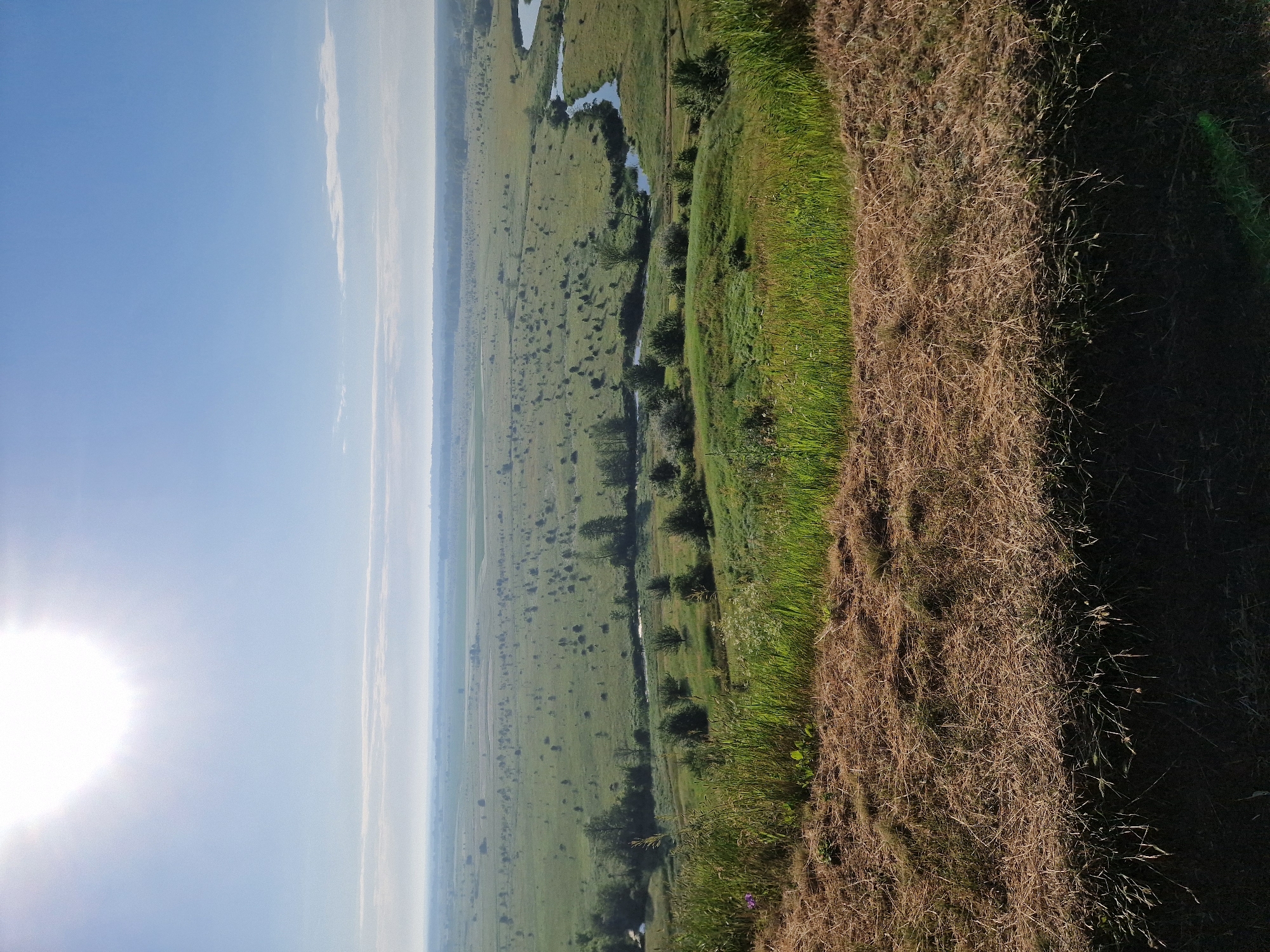 The image shows a wide, rolling landscape under a bright, hazy sun in a clear blue sky. The foreground is dominated by dry, matted grass and some green vegetation on a slope. Beyond this, the middle ground features a gently sloping green field dotted with numerous small, dark green trees or shrubs. A winding river snakes through the middle ground from the right towards the left. The background reveals a vast, flat expanse of green fields, with a line of trees on the horizon, all softened by atmospheric haze. The scene depicts a rural, natural environment.