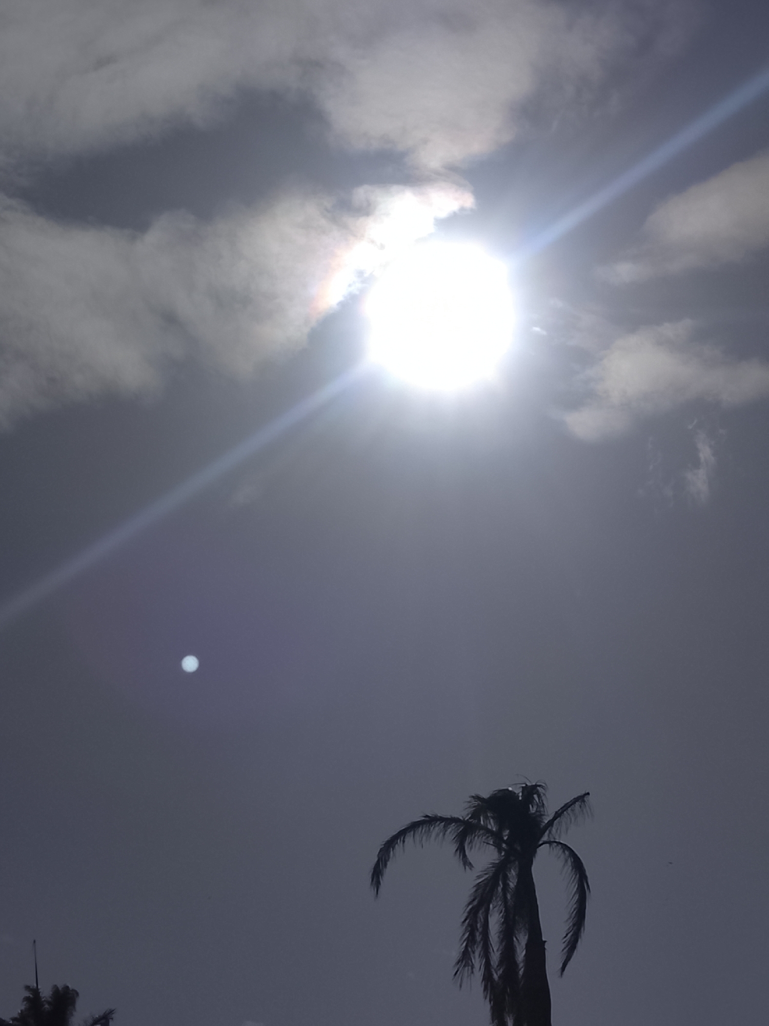 The image shows a bright sun obscured by light clouds in the sky above Altagracia, Venezuela. A palm tree is silhouetted in the lower center of the frame, with another partial palm visible in the lower left. A single lens flare appears in the lower left quadrant of the sky. The overall tone is overcast.