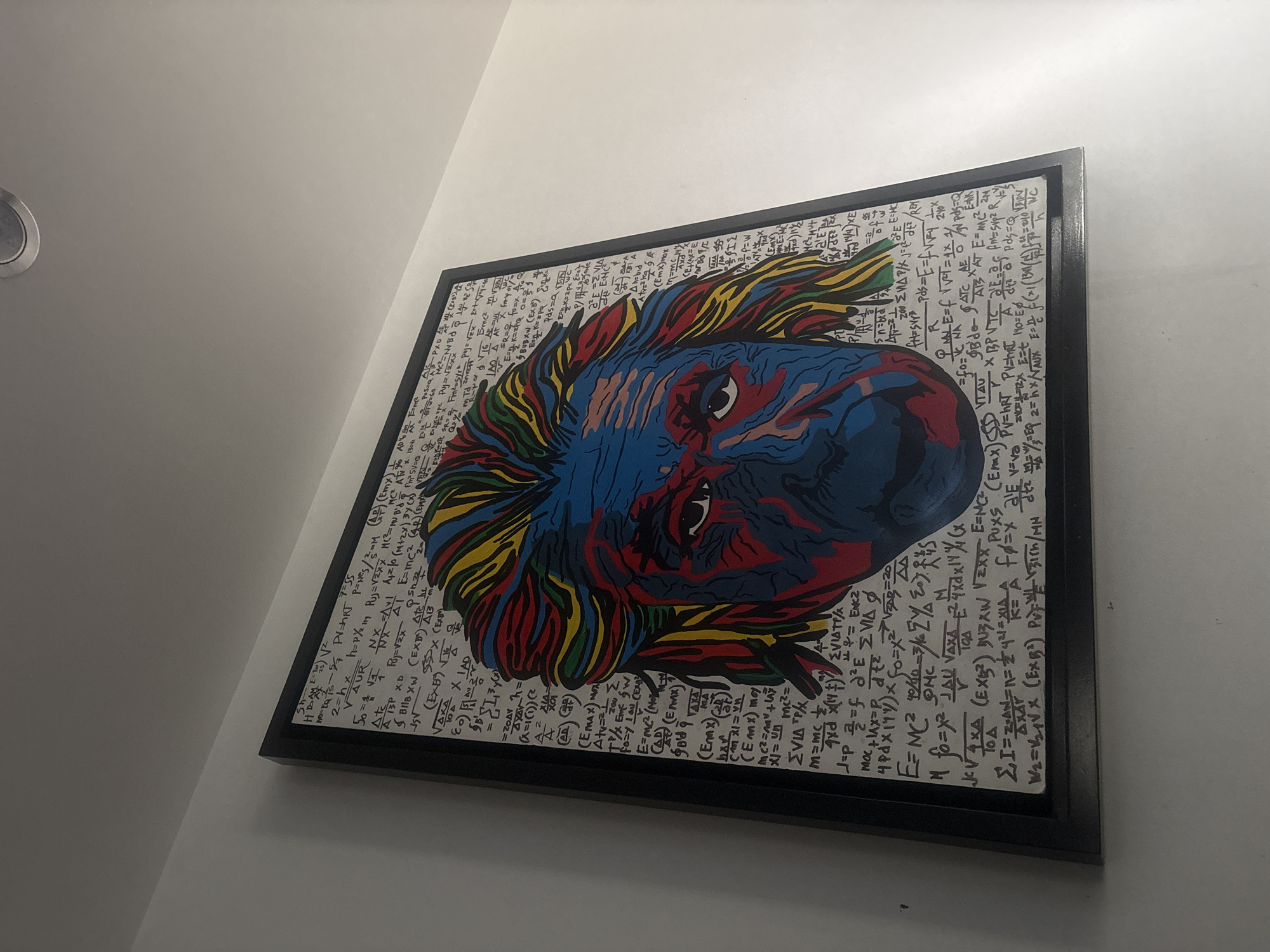 The image shows a framed artwork of Albert Einstein's face, rendered in a colorful, stylized manner with vibrant blues, reds, yellows, and greens. The background of the artwork is filled with handwritten scientific equations and formulas, characteristic of Einstein's work. The framed art is hanging on a plain white wall. The lighting suggests an indoor setting, possibly a room in a home or establishment. The location is specified as San Bernardino Tlaxcalancingo, Mexico.