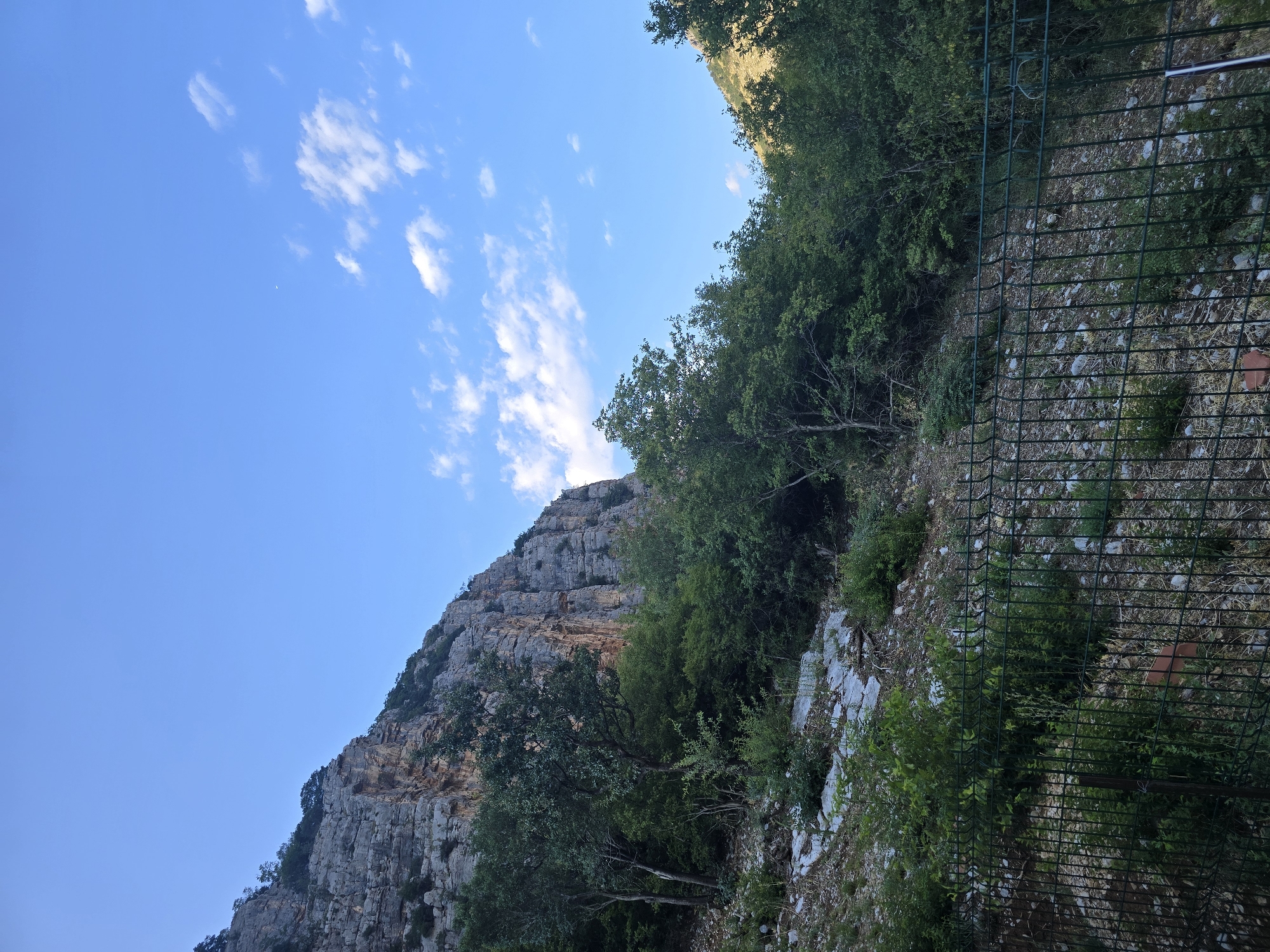 The image depicts a natural landscape with a steep, rocky cliff face on the left, partially covered by green foliage and trees. The terrain slopes downwards from the cliff, covered in rocks, gravel, and vegetation. A dark green wire mesh fence runs along the bottom of the image, separating the foreground from the rocky slope. The sky above is a clear blue with scattered white clouds. The overall scene suggests an outdoor, possibly mountainous or hilly, environment. This could be a location like the area near the Moraca river canyon, outside of Podgorica, Montenegro.