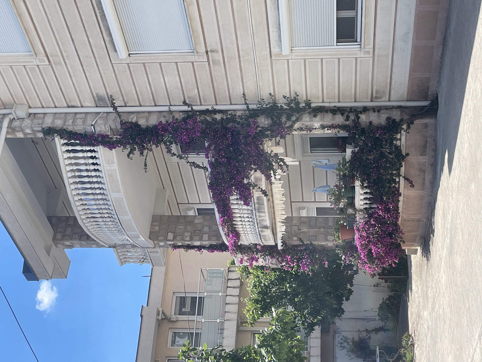 The image shows a building in Bar, Montenegro, covered in flowering bougainvillea vines. The building has a multi-level structure with balconies. The exterior of the building features a beige color scheme with horizontal striped patterns. Balconies are adorned with decorative railings, and several windows are visible. The sky is a clear blue, and some greenery, including trees and shrubs, can be seen in the lower part of the image. The general setting is a residential or urban area.
