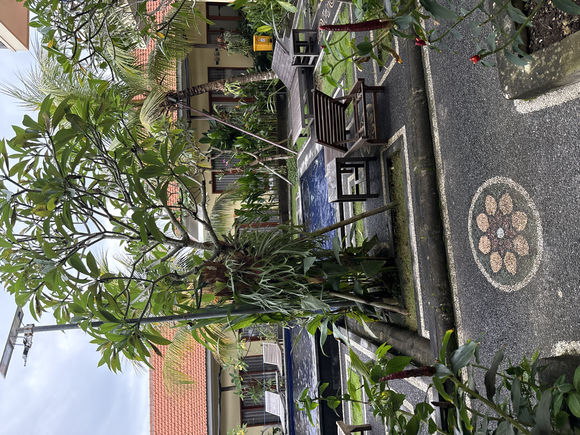 The image captures an outdoor scene, likely a resort courtyard or garden, in Kuta Selatan, Indonesia, under an overcast sky. The view is lush with tropical vegetation and features architectural elements alongside pathways and water.
In the foreground, a large, leafy tree dominates the left side, its branches extending across the upper part of the frame. Below it, a dark, pebble-textured pathway with white borders snakes through the scene. A notable circular mosaic pattern, composed of light and dark pebbles forming a floral design, is embedded in the path on the right. Various green plants and shrubs, some with small red flowers, line the pathways and garden beds.
Towards the midground, a narrow, dark blue water feature, possibly a swimming pool or decorative pond, runs parallel to the path. Several pieces of outdoor wooden furniture are placed around it, including two lounge chairs and two smaller chairs with a table. A large staghorn fern is prominently attached to one of the tree trunks near the water.
In the background, two-story buildings with light yellow walls and red-tiled roofs are visible, featuring multiple windows. Palm trees also stand tall behind the main foliage. A street lamp with a solar panel on top can be seen against the cloudy sky on the left side. The overall scene appears calm and peaceful, with no people present or any specific activity taking place. There is no visible text in the image.