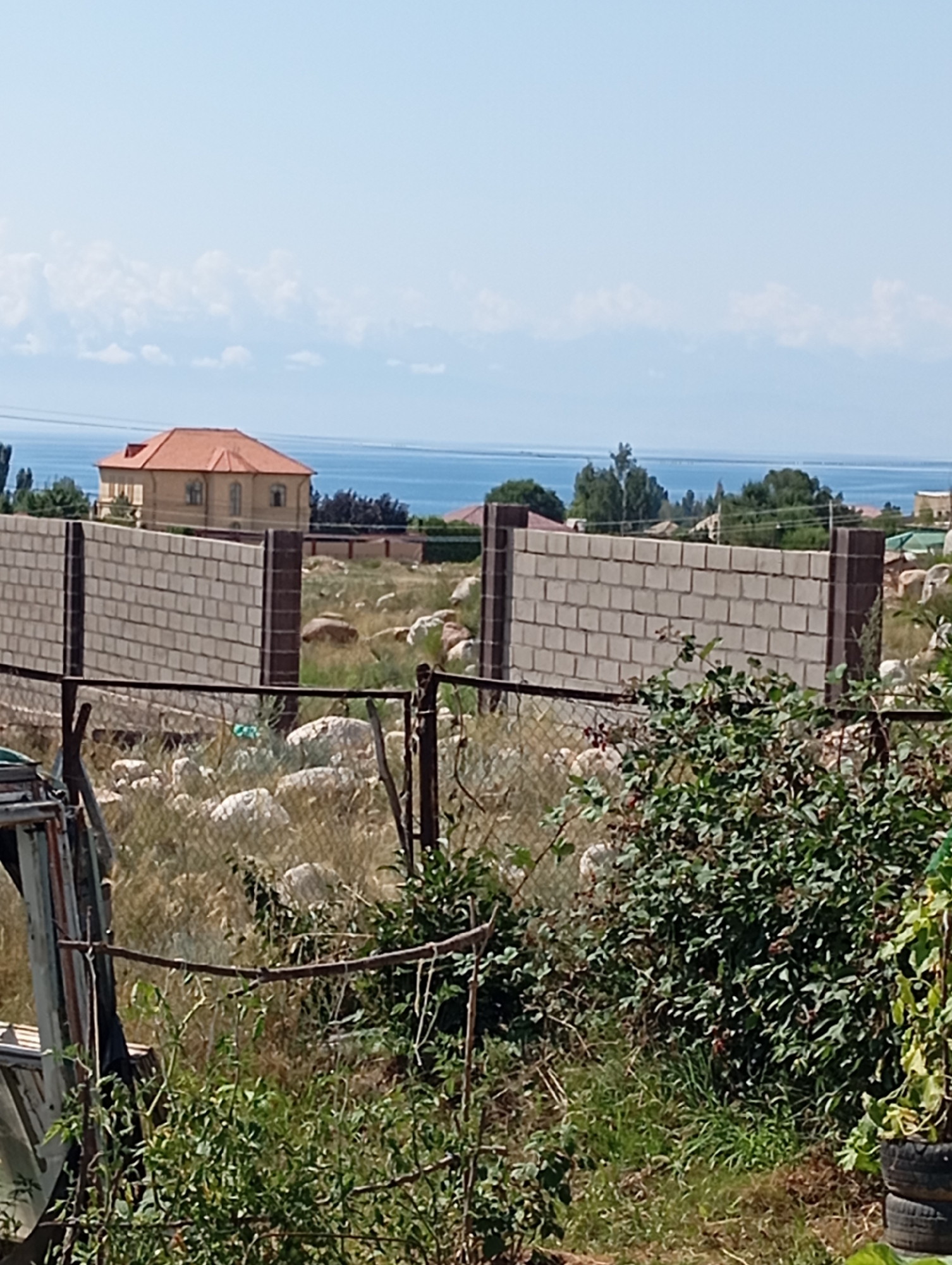The image depicts a view towards Lake Issyk-Kul from a hillside location in Cholpon-Ata, Kyrgyzstan. In the foreground, there is a rough, uneven terrain covered with dry grass, scattered rocks, and some green bushes, including a patch of dark green, leafy bushes with some red berries. A metal fence, partially rusted and with some sagging sections, runs across the lower part of the image. To the left, there is a section of what appears to be abandoned or discarded metal framing. Behind the foreground, a light-colored brick wall, constructed of cinder blocks, forms a barrier. This wall is punctuated by darker, vertical posts. Further in the background, beyond the brick wall, are more scattered rocks and dry vegetation. Across the lake, a distant shoreline is visible with a few scattered houses and trees. The lake itself appears calm and blue, reflecting the clear, pale blue sky with a few wispy white clouds. In the middle ground, a two-story house with a reddish-orange tiled roof and light-colored walls is visible, suggesting a residential area or development. The overall scene suggests a partially developed or rural area on the outskirts of Cholpon-Ata.