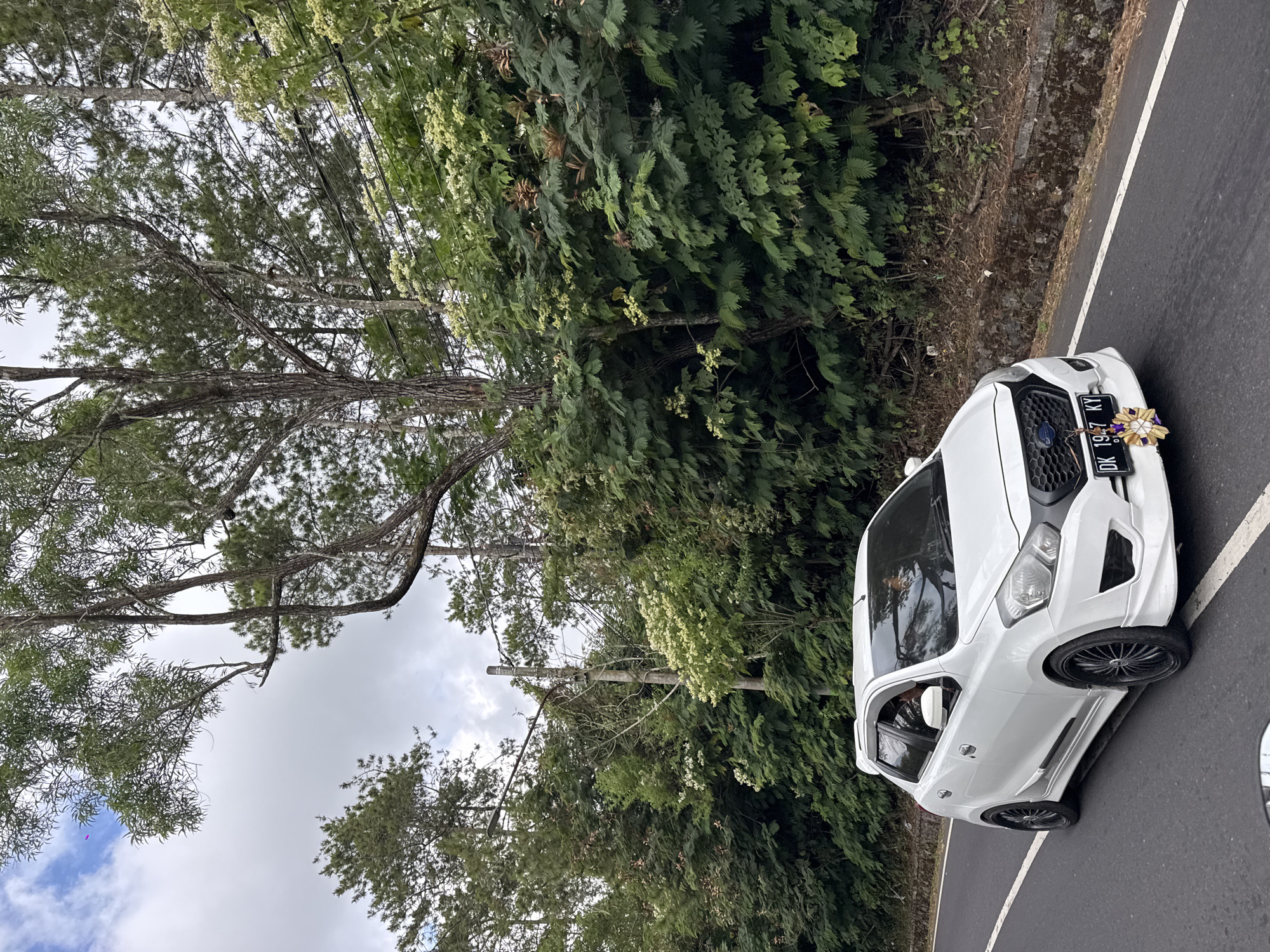 The image captures a white car driving on a winding road in Kintamani, Indonesia. The car, a hatchback, is positioned in the foreground, facing towards the right side of the frame. It has a custom body kit with a sporty spoiler and black rims. The license plate is visible, reading "DK 1947 KY." A decorative item, possibly a small bouquet, is attached to the front of the car. The road is paved and marked with white lines.
The surrounding environment is lush and green, dominated by dense foliage and trees. Tall trees with intricate branches reach towards a cloudy sky. Power lines are visible strung between poles, running along the roadside. The terrain appears to be slightly elevated, with a steep embankment covered in vegetation to the right of the road. The overall impression is that of a scenic drive through a natural, possibly mountainous, area. The time of day appears to be overcast, judging by the diffused light and the sky's appearance. No people are clearly identifiable in the image, apart from a faint reflection of someone in the driver's side window of the car.