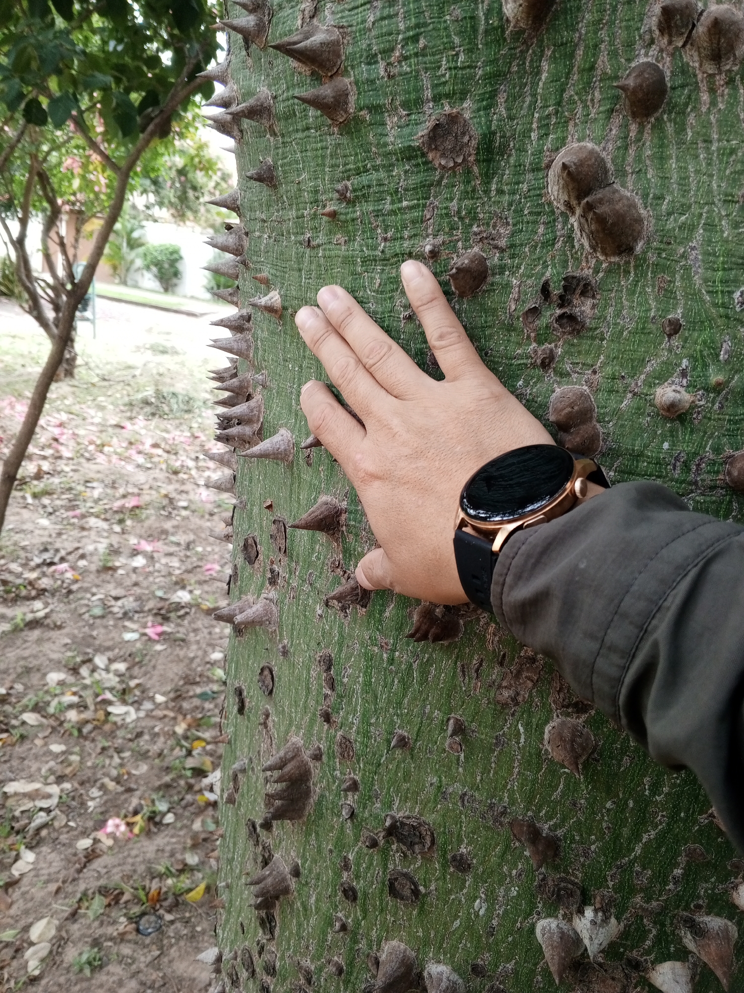 Memory