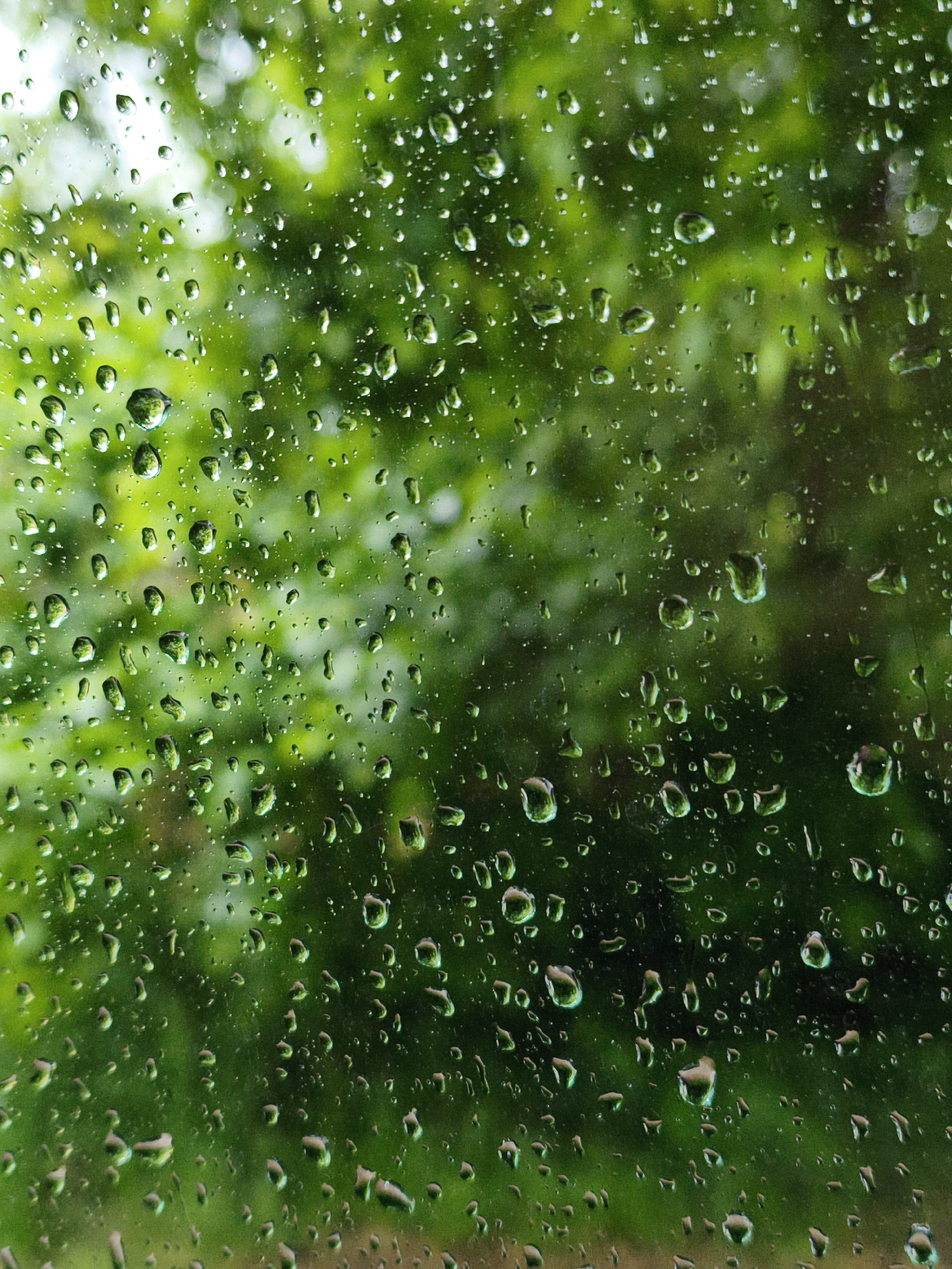 The image shows rain droplets on a windowpane. The background seen through the window is blurred green foliage, suggestive of trees or dense vegetation. The lighting is soft, diffuse, indicating an overcast day. There are no people or identifiable objects beyond the rain and greenery visible. The scene's location in the city of Chaikovsky, Russia, cannot be determined from the visual information provided.