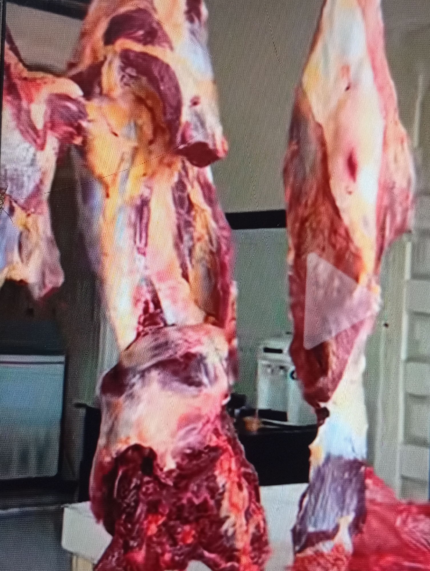 The image depicts several large cuts of raw meat hanging, likely in a butcher shop or a similar food processing environment. The meat appears to be beef or a similar red meat, with visible marbling and bone structures. The lighting suggests an indoor setting, possibly a commercial kitchen or storage area, with metal shelving and equipment visible in the background, including what appears to be a refrigerator unit on the left. The overall impression is one of a raw food product awaiting further processing or sale. There is no specific visual information in the image that directly ties it to the city of Lhokseumawe, Indonesia.