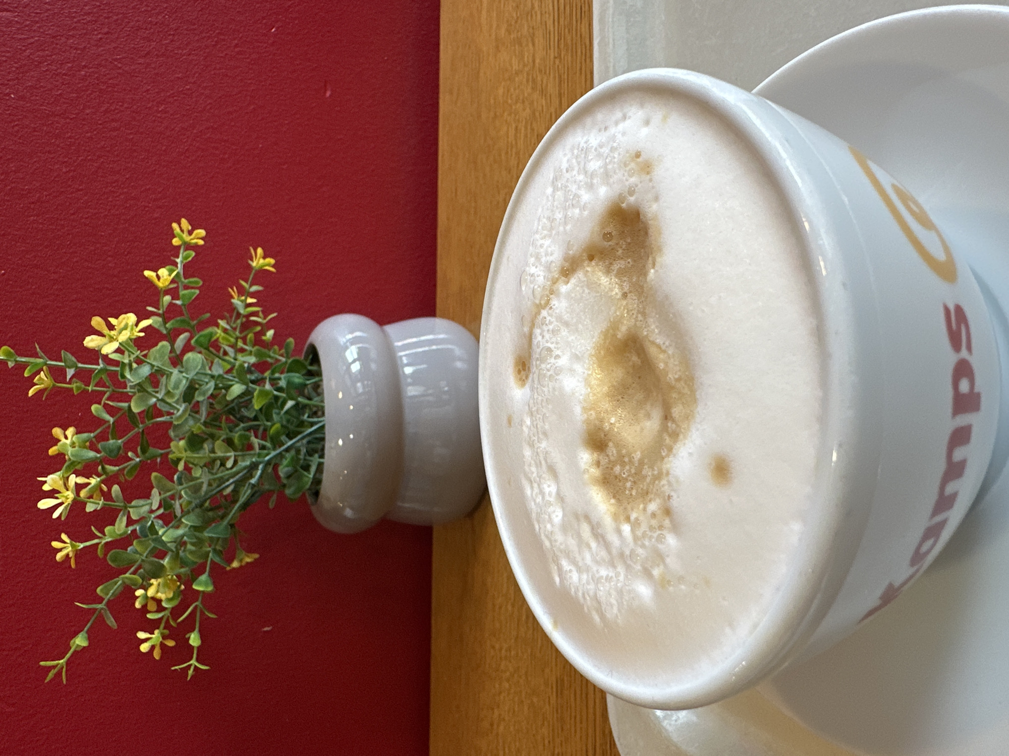 A white mug with a foamy beverage sits on a white saucer on a wooden table. The mug has red and yellow lettering that appears to be "Kamps." In the background, a small potted plant with green leaves and yellow flowers is positioned against a red wall. The scene is lit by natural light, casting soft shadows. The image was taken indoors.