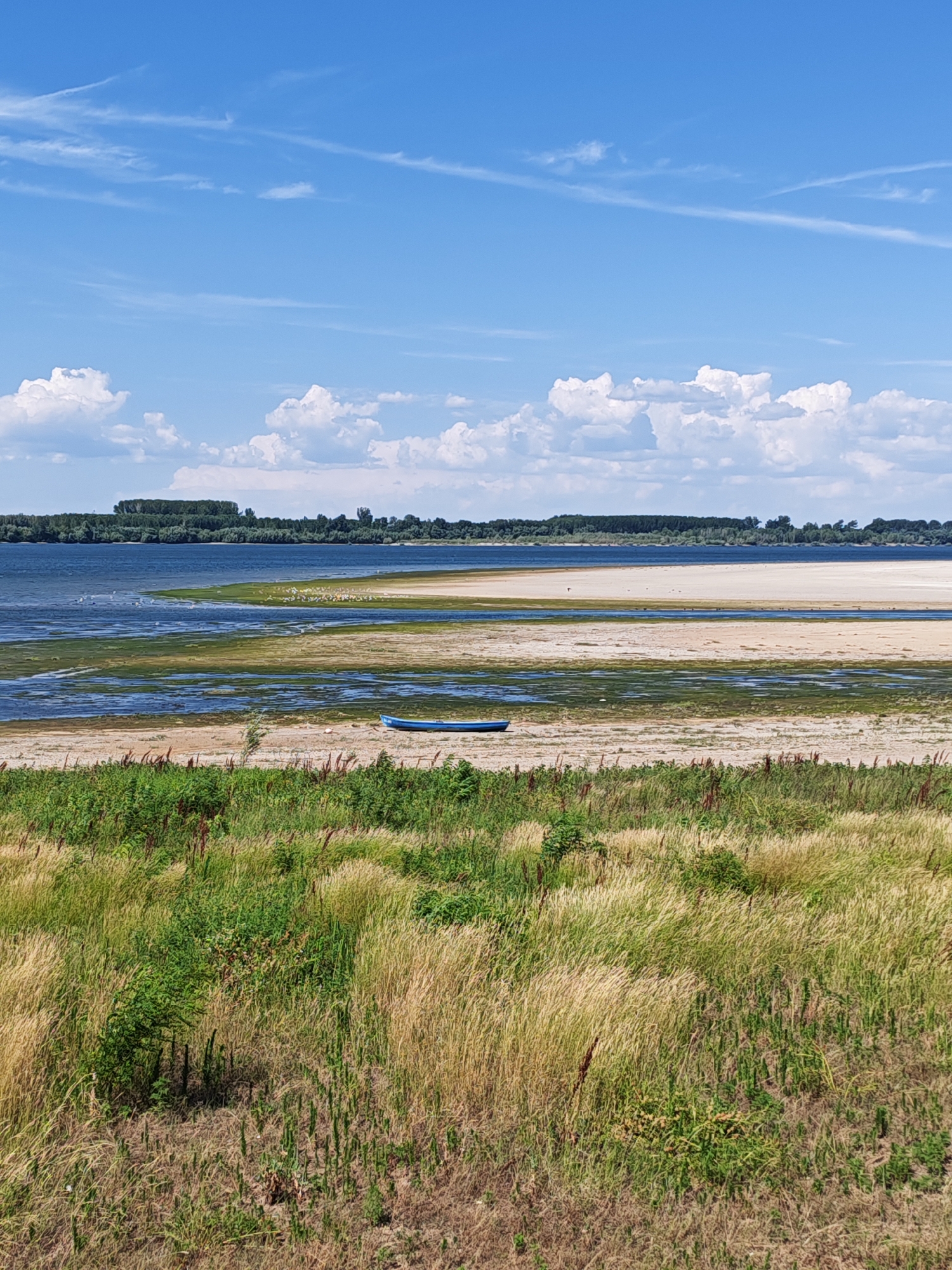 The image depicts a landscape scene with a body of water, sandy shore, and vegetation under a blue sky with scattered clouds. A blue boat rests on the sandy area near the water's edge. In the distance, a treeline forms a dark band along the horizon, separating the water from the sky. The foreground is dominated by tall, dry grasses and some greener bushes. This scene appears to be located in Kozloduy, Bulgaria, possibly near the Danube River, given the expansive water body and sandy banks, which are characteristic of the area, especially during lower water levels. No people are visible in the image.