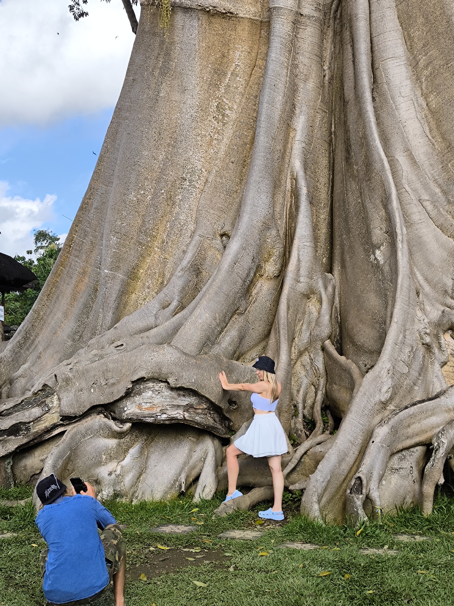 A full shot depicts a woman posing in front of a massive tree in Tua, Indonesia, while a person photographs her.
The tree is the focal point, dominating the scene with its wide trunk and sprawling roots. Its bark is a mottled gray and beige. The woman is positioned to the right of the frame, lightly touching the tree with her left hand. She is wearing a light blue crop top and skirt with matching shoes. She wears a black cap.
To the left, a person kneels and points a smartphone towards the woman and the tree, photographing them. The ground is covered with green grass and dirt patches. A blue sky with white clouds is visible in the upper-left corner. The trunk of the tree makes up much of the scene.
