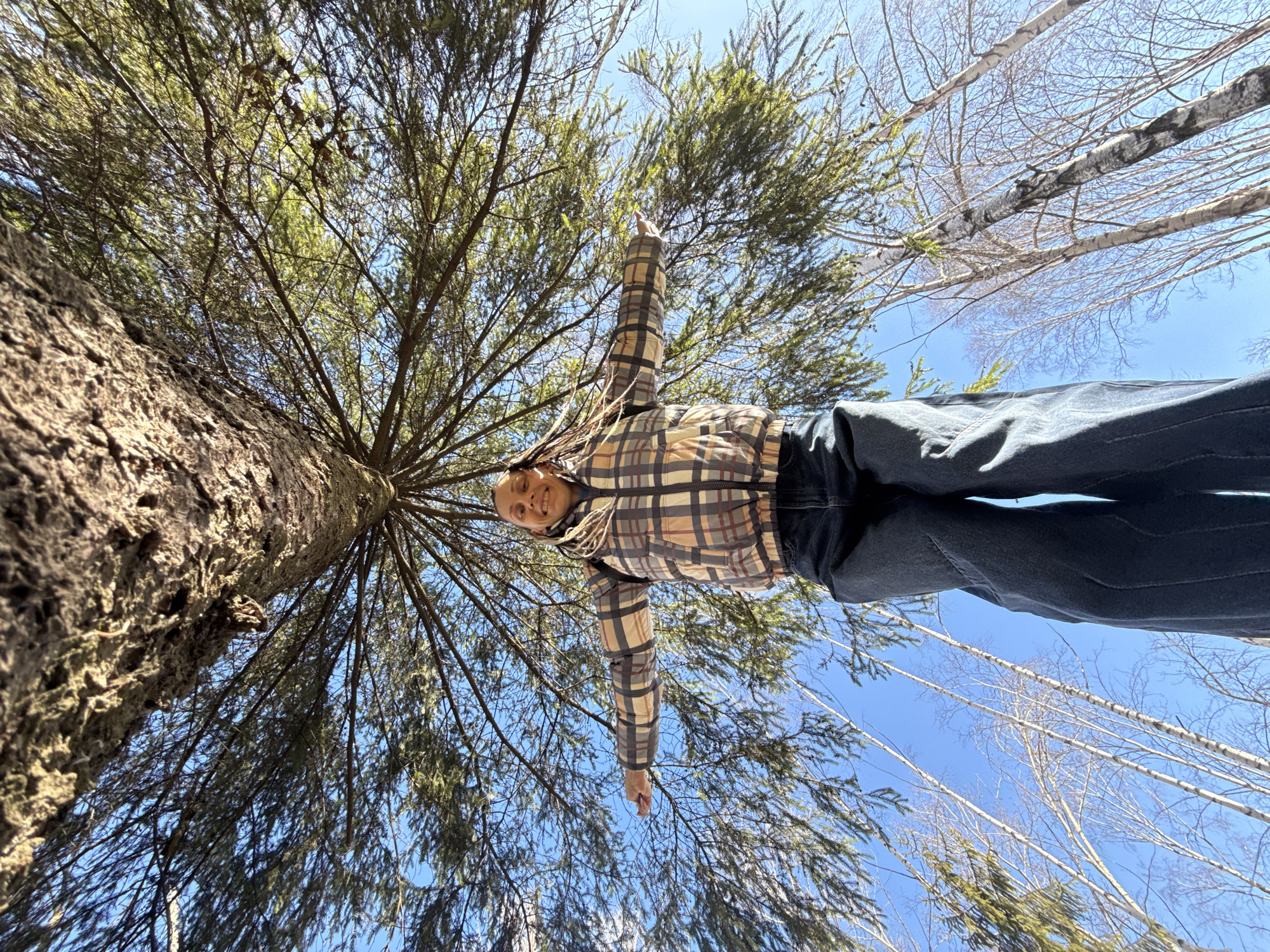 A low-angle shot captures a person lying on the ground, looking up at the camera. The person is wearing a plaid jacket and jeans. They are lying beneath a tall evergreen tree, which fills the left side of the frame. To the right, thinner, bare birch trees extend into the blue sky. The person appears to be in a wooded area, likely in Rusanovo, Russia.