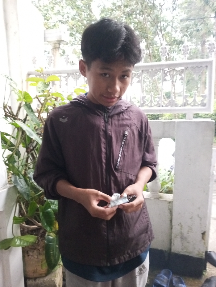 Memory