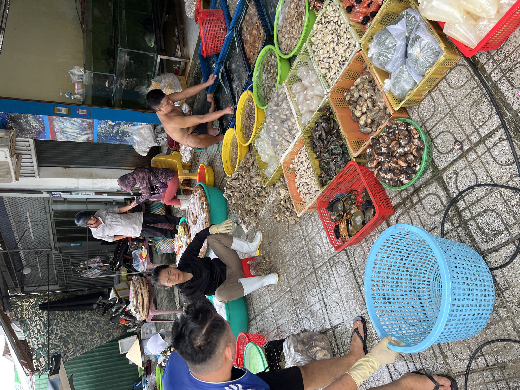 The image depicts an outdoor seafood market stall in Nha Trang, Vietnam. A man in a grey polo shirt and dark pants, wearing a helmet, stands near a display of round woven trays stacked with fish. To his right, a woman in a patterned hooded jacket sits on a yellow plastic chair. In the foreground, a woman wearing a black zip-up jacket, brown pants, and white rubber boots sits on a red stool. She is facing left and looking down. A person wearing a blue shirt and yellow gloves is in the lower left corner, reaching towards a blue plastic basket. The ground is paved with square tiles. Numerous baskets and containers filled with various types of seafood, including clams, mussels, oysters, and crabs, are arranged on the ground. Behind the stall, a blue panel displays images of marine life. Fish tanks containing live fish are visible in the background. The overall scene is of a busy, informal market setting.