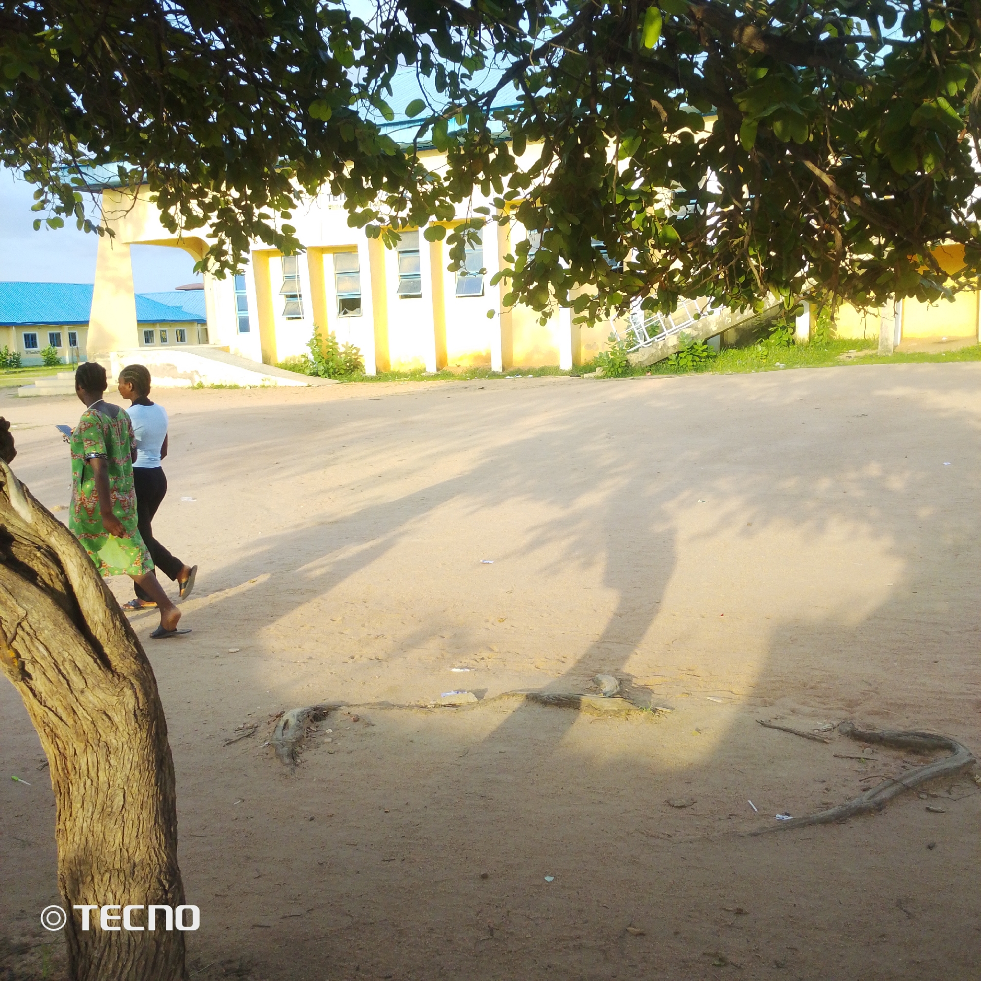 The image depicts an outdoor scene, likely within the city of Jalingo, Nigeria. In the foreground, a large tree trunk with rough bark is prominently visible on the left side, partially obscuring the view. Behind the tree, two young women are walking on a sandy or dirt ground. The woman on the left wears a green and multicolored patterned dress and is carrying a phone in her hand. The woman on the right wears a white t-shirt and black pants, and appears to be walking alongside her.
In the background, a light yellow building with a blue roof is visible. The building has several windows and pillars. The ground is predominantly sandy with some scattered debris and tree roots exposed. Shadows from trees are cast across the ground, suggesting it is daytime and the sun is at an angle. The overall impression is of a warm, possibly dry, environment. The presence of the building with its architectural style and the general landscape suggest a public or institutional setting within Jalingo.