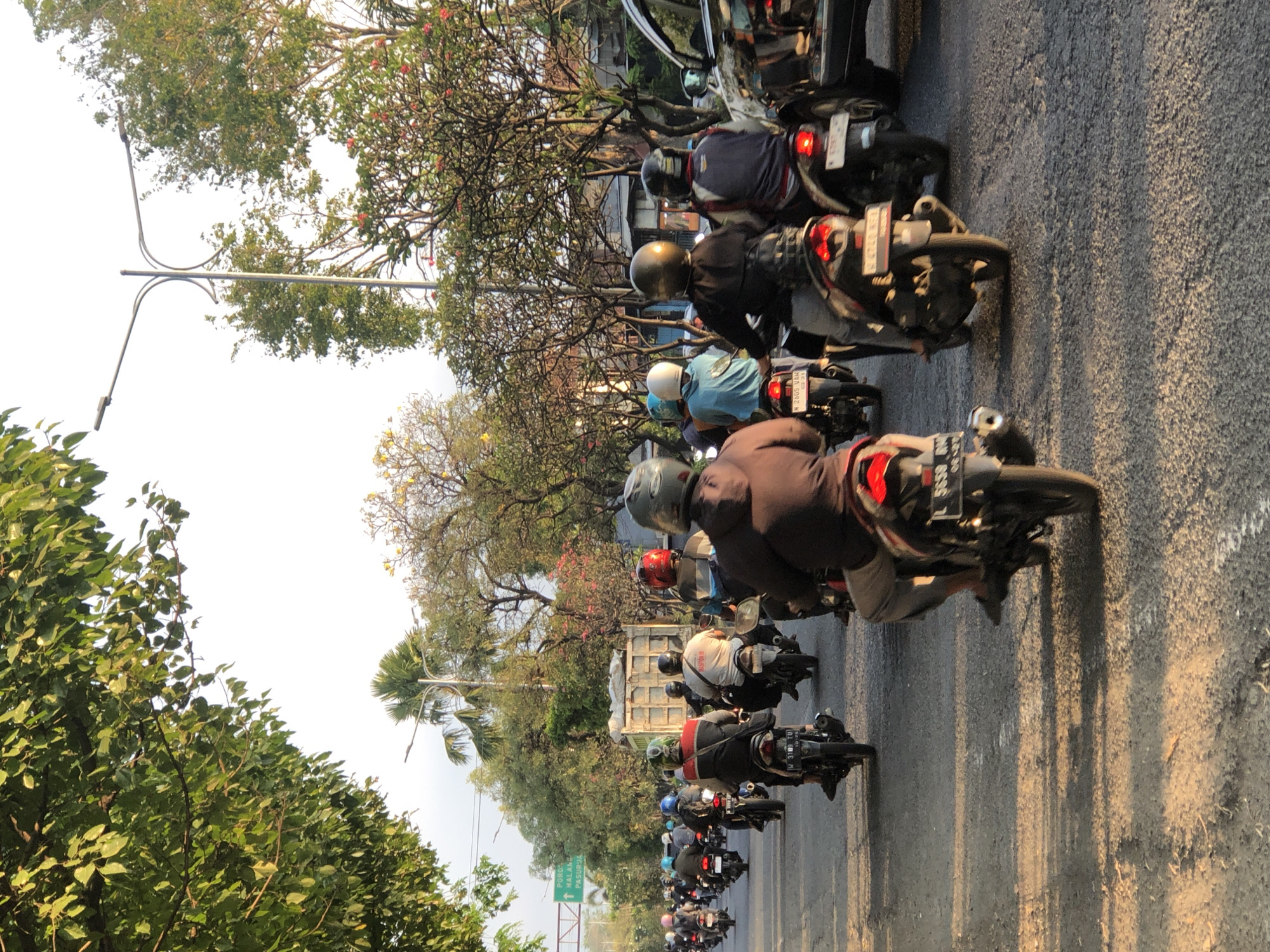 A busy street scene in Gelam, Indonesia, shows a large group of motorcyclists on a road, likely during rush hour. The road is paved and appears to be in moderate condition, with some cracks and uneven surfaces visible. The motorcyclists are moving in the same direction, creating a sense of flow and congestion. Many of the riders are wearing helmets of various colors, and some are carrying passengers. The surrounding environment features lush green trees, palm trees, and flowering bushes, suggesting a tropical or subtropical climate. In the background, a large truck with a white tarp-covered load is visible, as is a street light with multiple arms. The overall atmosphere is one of an active urban environment with significant motorcycle traffic.
