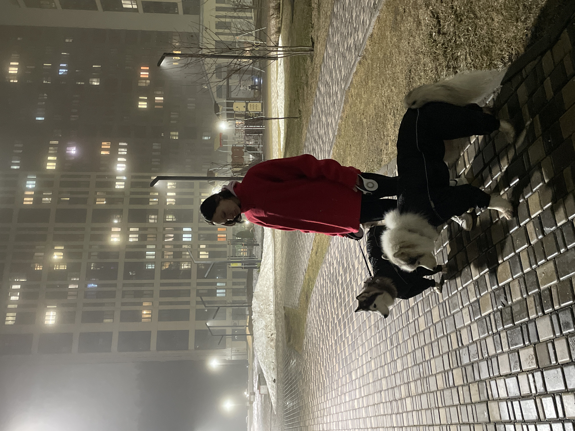 A person in a red jacket and black pants walks two dogs on a brick pathway. The dogs are wearing black outfits. Behind them, a large building with many lighted windows is visible in the foggy night. A playground is visible in the distance. The location is in a city, likely Izhevsk, Russia, based on visual cues.