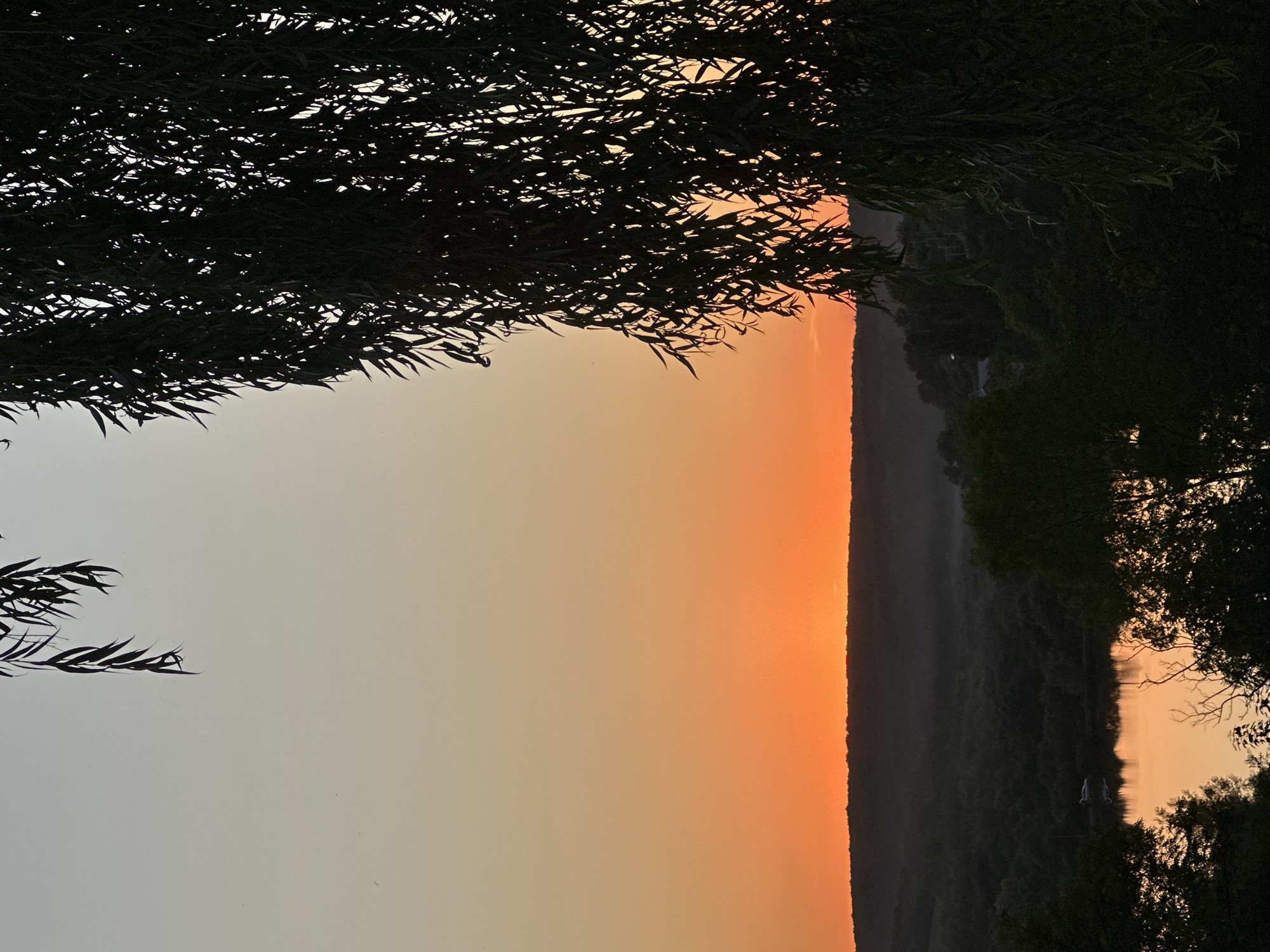 The image captures a sunset over a body of water surrounded by trees in Makiv, Ukraine. A weeping willow tree in the foreground casts a shadow across the scene, with its leaves silhouetted against the gradient sky. The sky transitions from a pale yellow at the top to a vibrant orange near the horizon. Below the sky, a dark silhouette of hills and dense foliage is visible. A calm body of water reflects the orange hues of the sunset. A small white boat is positioned on the water, near the left bank. The overall atmosphere is tranquil and serene, highlighting the natural beauty of the landscape during dusk.