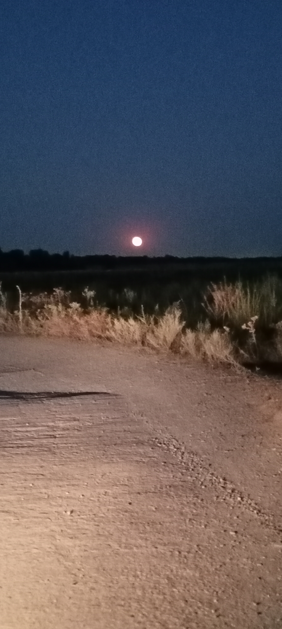 The image shows a nighttime scene in the city of Aral, Kyrgyzstan, with a dirt road in the foreground and a full moon in the sky. The moon is bright and slightly pinkish, suspended above a dark horizon line that separates the sky from the land. The foreground is dominated by the textured surface of a dirt road, with tire tracks visible and some gravel scattered about. To the left and right of the road, dry, tall grasses are illuminated by the moonlight, creating a slightly ethereal atmosphere. The sky is a deep, dark blue, indicative of the late hour. There are no people or animals visible in the frame. The overall environment suggests a rural or semi-rural setting on the outskirts of Aral.