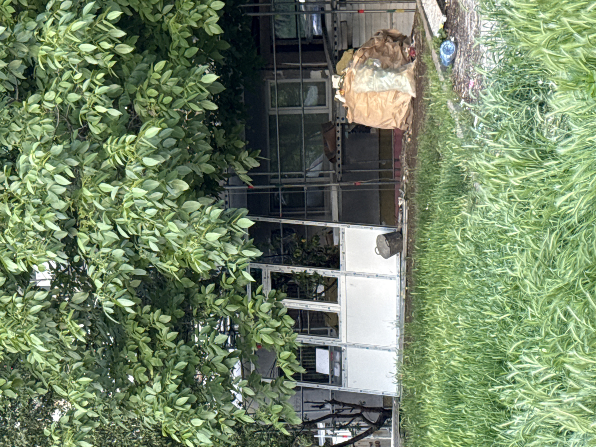 The image shows a building with a white facade, partly obscured by a leafy green tree on the left and tall green grass on the right. Scaffolding is erected around a portion of the building where renovation or construction appears to be underway. A large brown bag and other debris are near the scaffolding.
I cannot pinpoint the precise location in Lovech, Bulgaria.