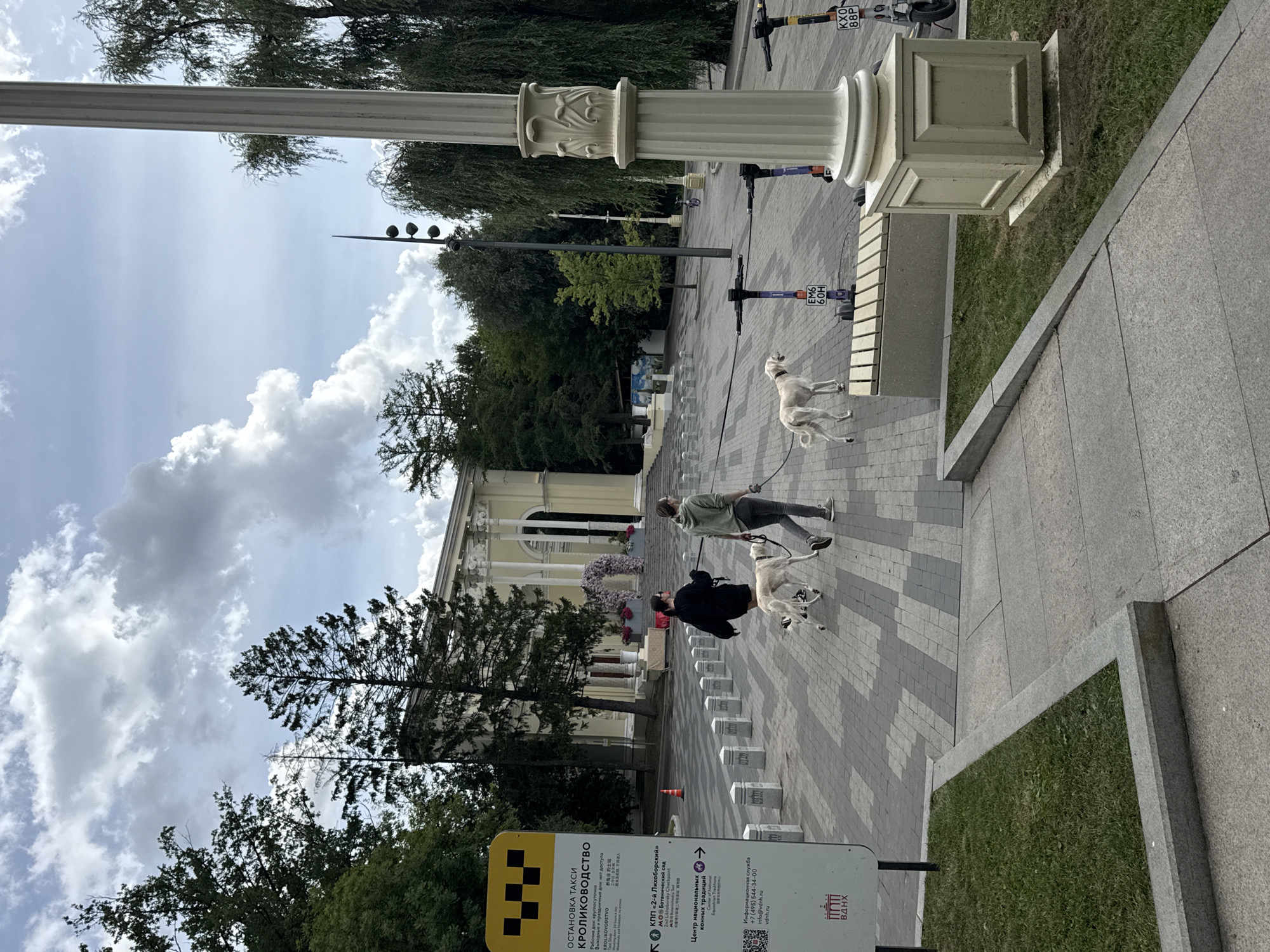 The image depicts an outdoor scene in VDNKh (Exhibition of Achievements of National Economy) park in Moscow, Russia. In the foreground, two individuals are walking two light-colored dogs on leashes. The individuals are dressed casually, one in a black hoodie and the other in a green hoodie. The dogs appear to be of the sighthound breed. The ground is paved with a pattern of grey and white square tiles. To the left of the frame, a yellow sign with black text and a taxi symbol is visible, indicating a taxi stand. Further into the background, a large, ornate building with a prominent archway is visible, partially obscured by trees. Several white bollards line the walkway. Electric scooters are parked on the right side of the frame. The sky is partly cloudy.