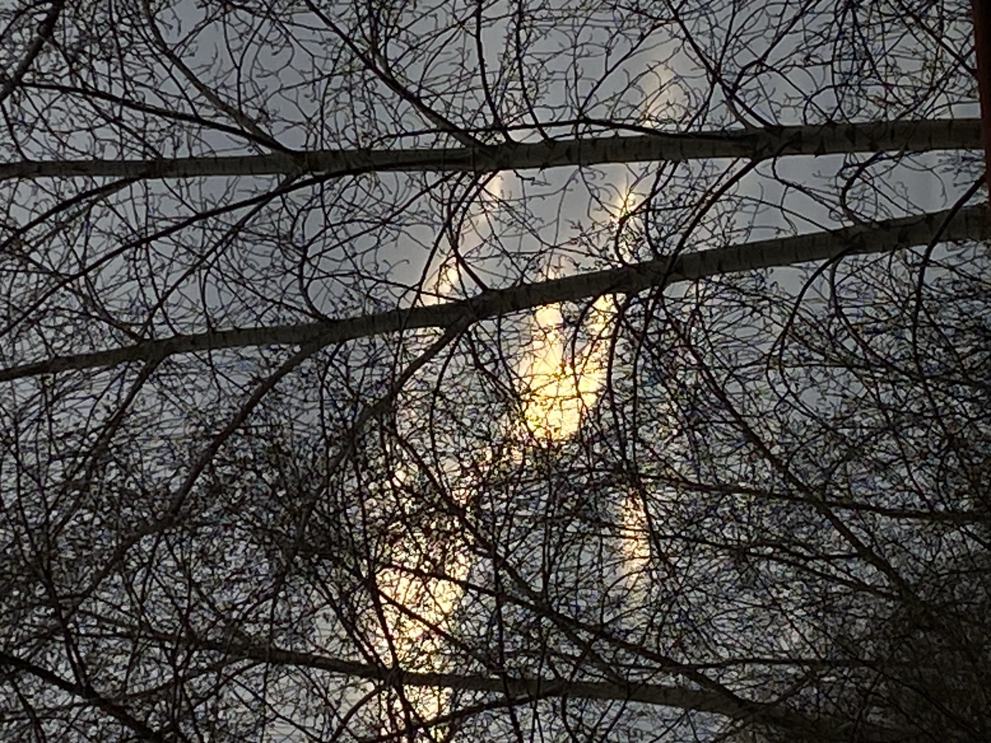 The image depicts a view looking up through bare tree branches towards a cloudy, overcast sky. Sunlight appears to be breaking through the cloud cover, creating bright patches visible between the branches. Two thicker, horizontal branches are present in the foreground. The location is assumed to be Chaikovsky, Russia, though no specific landmarks or identifiable features in the image confirm the city.