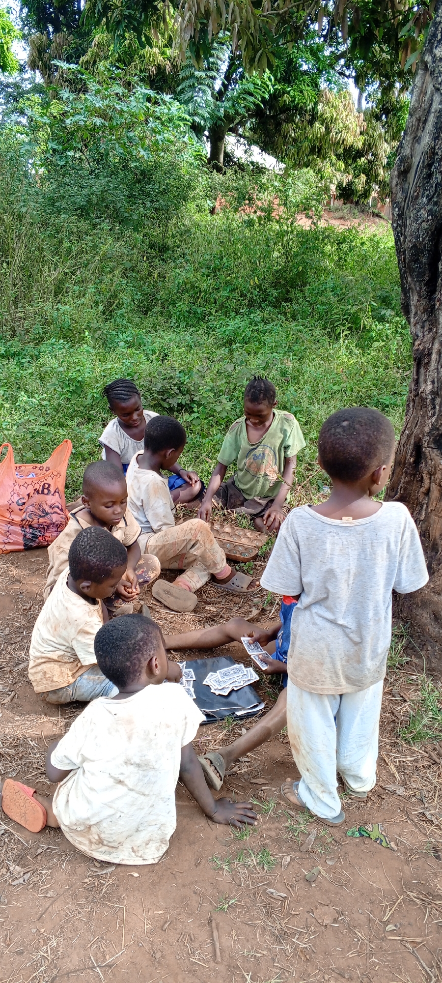 This media file captures a group of seven young children gathered outdoors in Ngalula, Democratic Republic of the Congo, engaging in play. The scene is set on a dirt ground under the natural shade of trees, with lush green vegetation and dense foliage forming the background. A large tree trunk is visible on the right side of the frame.
The children, appearing to be of primary school age or younger, are dressed in simple, somewhat worn clothing. They are mostly sitting or kneeling in a rough circle, intently focused on a game. Several playing cards are spread out on a dark surface (possibly a piece of cloth or plastic) on the ground, while one child in the center holds a hand of cards, actively participating in the game. Another traditional African board game, resembling Mancala or Oware, can be seen on the ground near one of the seated children.
An orange plastic bag is visible on the left side of the image, bearing partial text that reads "ABA" and "SIMBA". The lighting suggests it is daytime, with natural light illuminating the scene. The children appear calm and engrossed in their activity, conveying a sense of simple camaraderie and focused play.