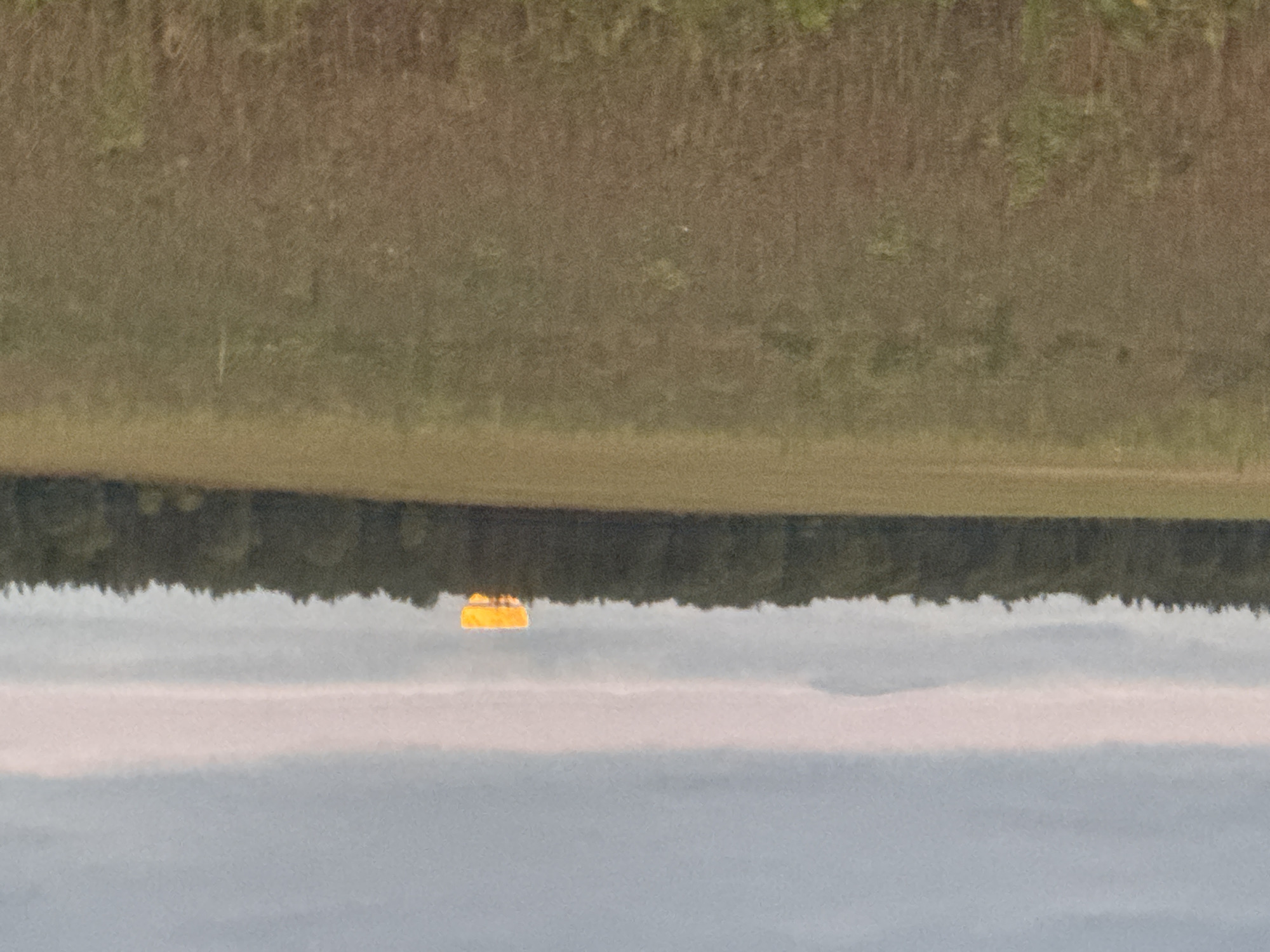 A distant, out-of-focus horizontal structure, appearing bright yellow, is visible above a dark line of trees in the background of a rural landscape. The structure is situated on the horizon, possibly in or near Vasil'evka, Russia, and is illuminated by an unseen light source. The foreground consists of a blurry field of dry, brownish vegetation, and the sky above is overcast with gray clouds and a faint band of pinkish light. No people or specific objects, other than the yellow structure, are clearly discernible.