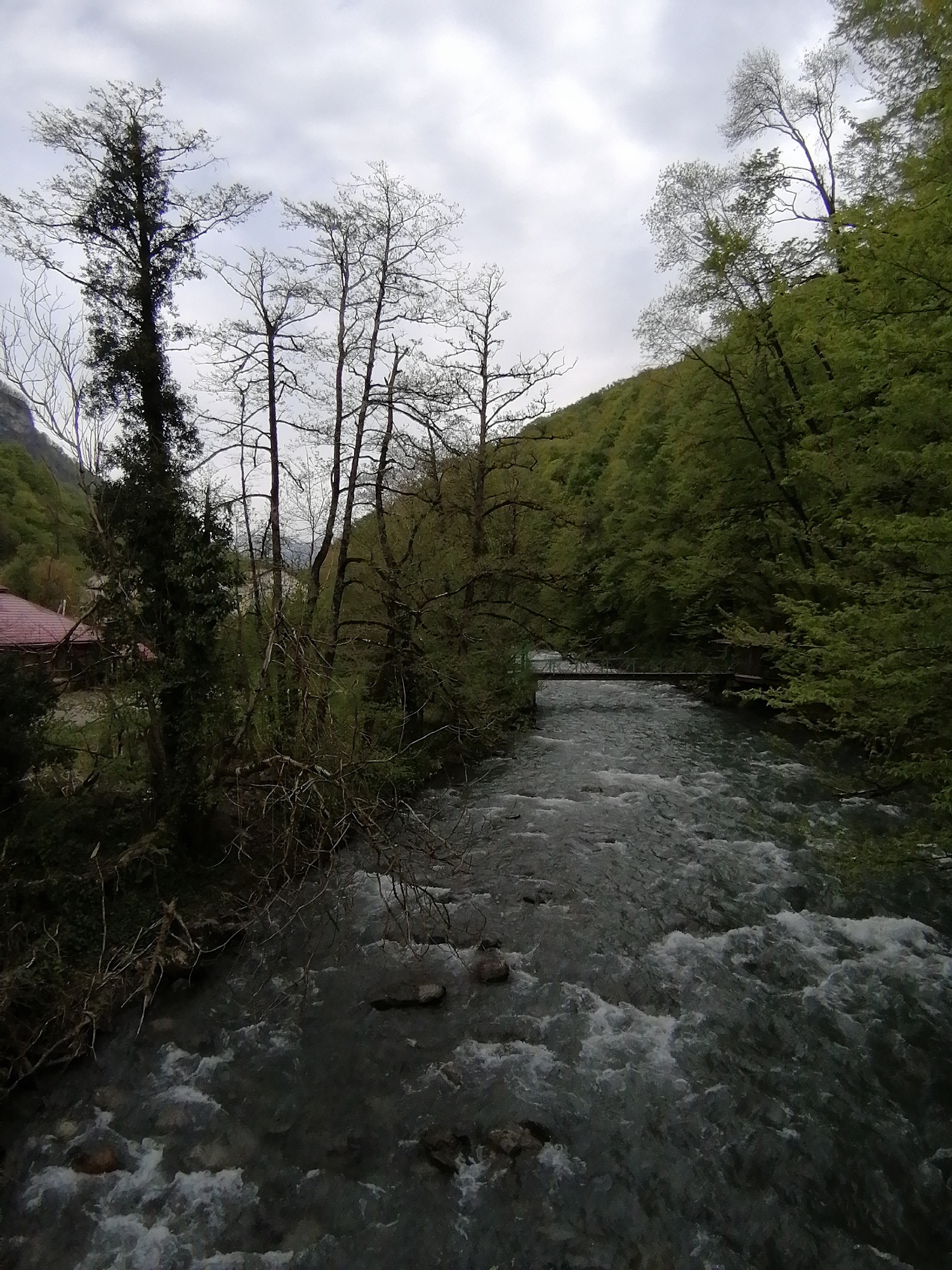 This image presents a serene natural landscape in Chvizhepse, Russia, centered on a powerful, fast-flowing river winding through a forested valley under an overcast sky. The river occupies the lower and central portions of the frame, characterized by dark, turbulent water with visible white rapids and scattered rocks.
On the left bank, a mix of vegetation is present. Several tall trees with bare branches reach towards the sky, alongside a dense, darker evergreen tree. Behind these, a building with a distinctive reddish roof is partially visible, nestled amidst the foliage. The terrain on the left rises, suggesting a hillside.
The right side of the valley is densely forested with trees displaying vibrant green leaves, indicating lush growth. Further downstream in the mid-ground, a dark, narrow bridge or walkway spans the river, connecting the opposing wooded banks. The sky above is uniformly grey and cloudy, suggesting an overcast daytime. No people or visible text are present. The scene evokes a sense of natural beauty and wildness, likely captured in early spring due to the mix of bare and green trees.
