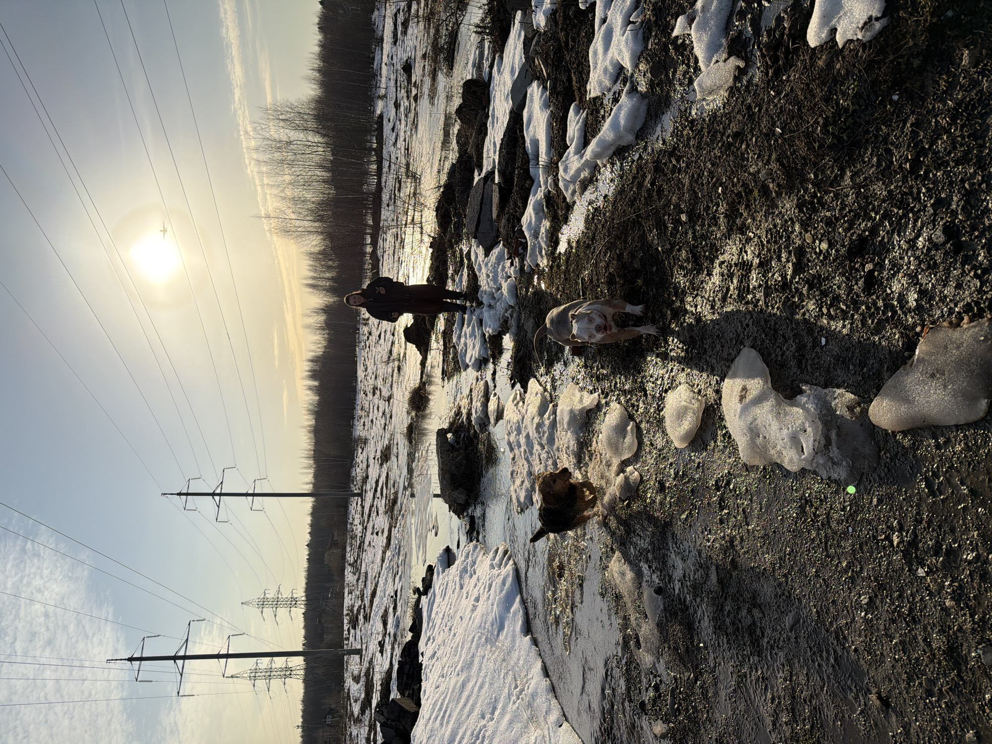 An outdoor scene in an open field in Khimki, Russia, is depicted during late winter or early spring, characterized by melting snow and mud under a low-angle sun. The ground consists of dark, wet earth, numerous puddles, and irregular patches of white snow and ice. In the foreground, a light-colored American Bully-type dog with brindle and white markings walks towards the camera. To its left, a smaller, dark, shaggy-haired dog navigates a shallow stream of water. In the mid-ground, one adult individual, wearing a dark jacket and dark trousers, stands facing the camera. The background features a distant treeline of bare deciduous trees. Overhead, multiple high-voltage electrical transmission towers with numerous power lines crisscross the sky. A distinct solar halo is visible around the sun in the upper right quadrant, with a white airplane in flight positioned within the halo.