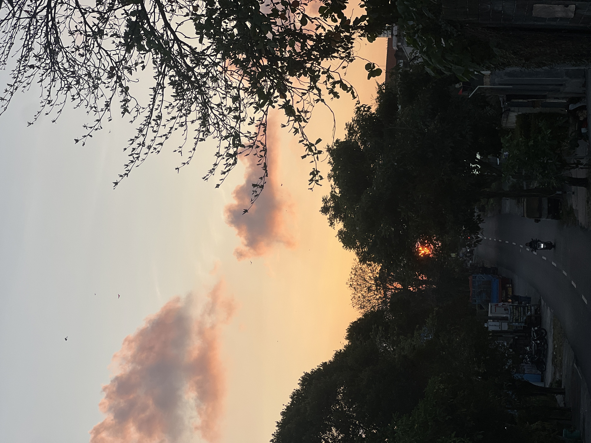 The image depicts a street scene at sunset in Denpasar, Indonesia. The sky is painted with hues of orange and pink, with scattered clouds and a few birds in flight. Silhouetted trees frame the scene, with a bare-branched tree on the right and dense foliage on the left and in the foreground. A paved road runs through the center, with a lone motorcyclist visible in the distance, traveling towards the viewer. Parked on the side of the road are several motorcycles and a large truck. Buildings and walls line the street, suggesting a populated urban environment. The lighting indicates it is either sunrise or sunset, with the sun's rays filtering through the trees in the distance.