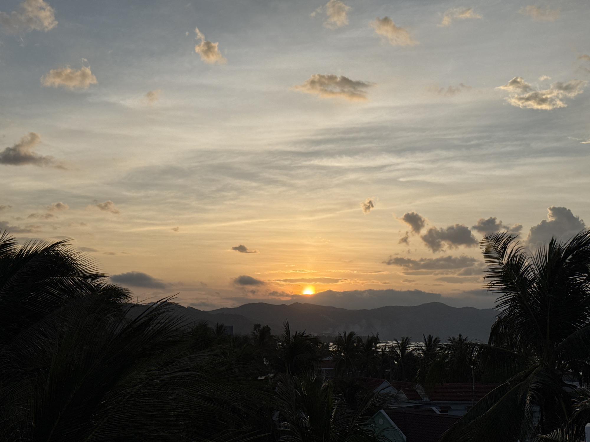 A wide shot captures a sunset over the city of Song Cau, Vietnam. The sun, a vibrant orange disc, is partially obscured by a thin bank of clouds just above a silhouetted mountain range. The sky above is a gradient of soft blues, yellows, and oranges, with scattered clouds tinged by the setting sun. In the foreground, the dark, feathery fronds of palm trees frame the scene, obscuring a portion of the view. Below the mountains, a body of water reflects the sky's colors, and hints of rooftops and foliage are visible through the dense palm trees. No people are visible in the image. The overall mood is serene and peaceful, typical of a coastal sunset.