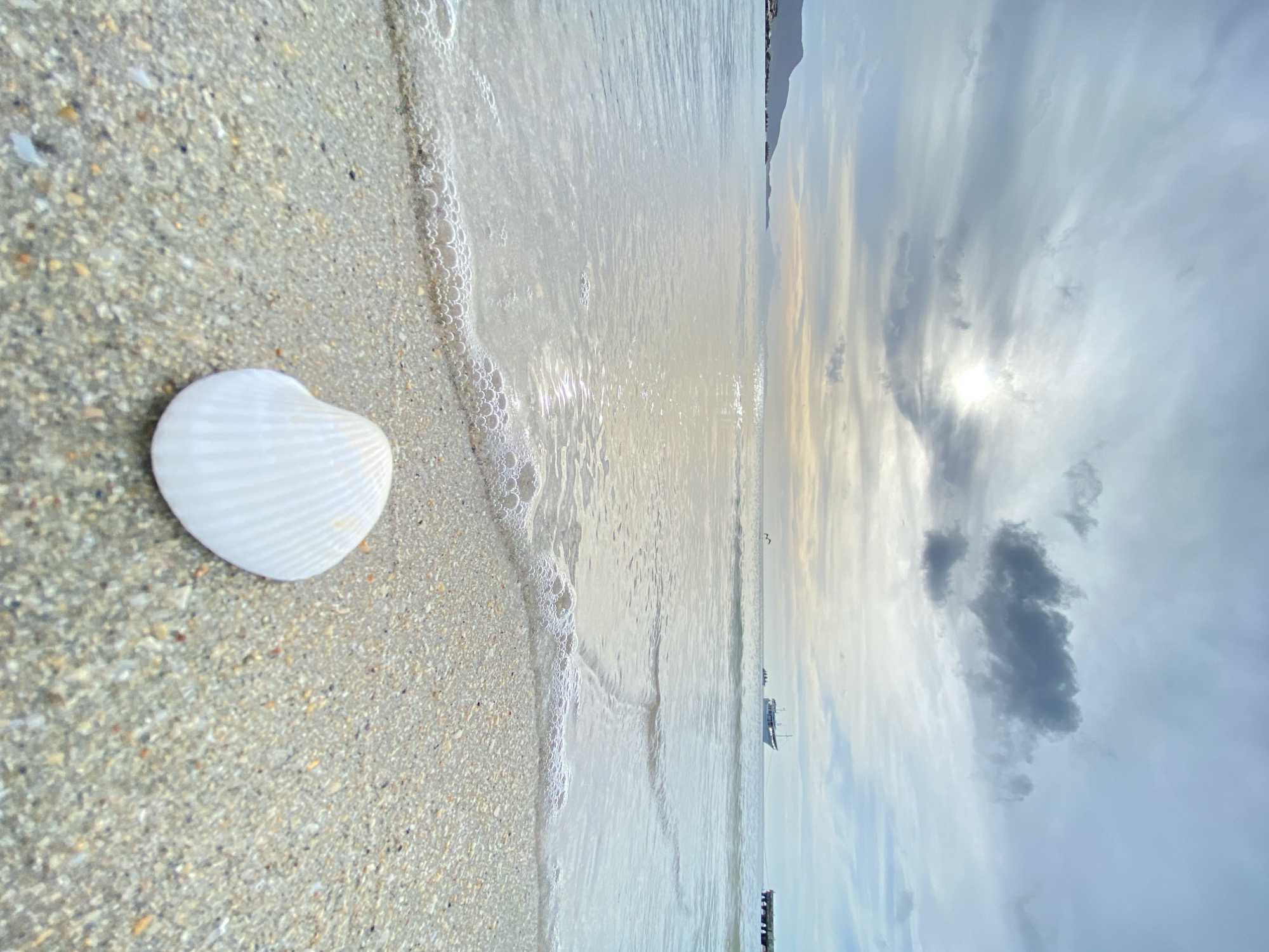This image depicts a wide-angle view of a serene coastal scene at a beach in Juan Griego, Venezuela, under an overcast sky. In the immediate foreground, a single, intact white seashell with distinct vertical ridges rests on light-colored sand composed of fine grains and small pebbles. The sand transitions into shallow ocean water, where a thin line of white foam from a receding wave is visible.
The midground features calm, slightly reflective ocean water extending towards the horizon. In the distant water, towards the right side of the frame, a white-hulled boat is anchored or stationary. To the far right, a segment of a dark-colored pier or dock structure extends into the water. A solitary bird is observed in flight over the water, to the left of the boat.
The background shows a range of distant mountains on the left side of the horizon. The sky is largely covered by varying shades of gray and blue clouds. The sun is partially obscured behind the clouds in the upper-center, appearing as a bright, diffused light source, casting a soft illumination across the scene, particularly on the water's surface. No individuals are present in the frame. The overall environment suggests a tranquil coastal setting during daylight hours.