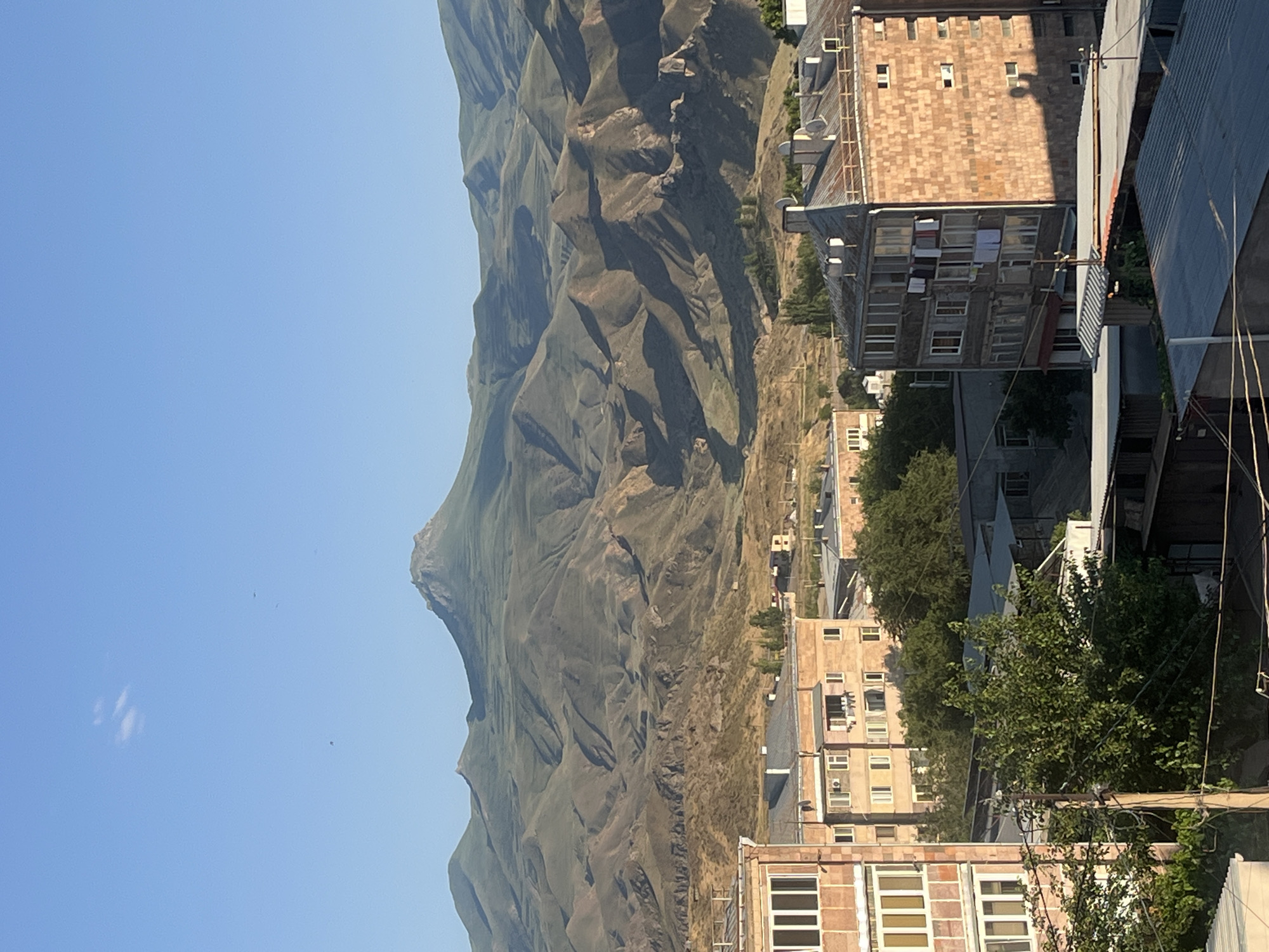 The image captures a wide view of Gladzor, Armenia, dominated by the majestic mountain range in the background under a clear blue sky. In the foreground, multi-story buildings with a mix of stone and painted facades are visible. The buildings display architectural features such as balconies, numerous windows, and some have laundry hanging from clotheslines. Several trees, including a large, dense one in the middle ground, add greenery to the urban landscape. The scene is illuminated by sunlight, casting shadows on the buildings and the ground. The overall impression is one of a residential area nestled against a dramatic natural backdrop.