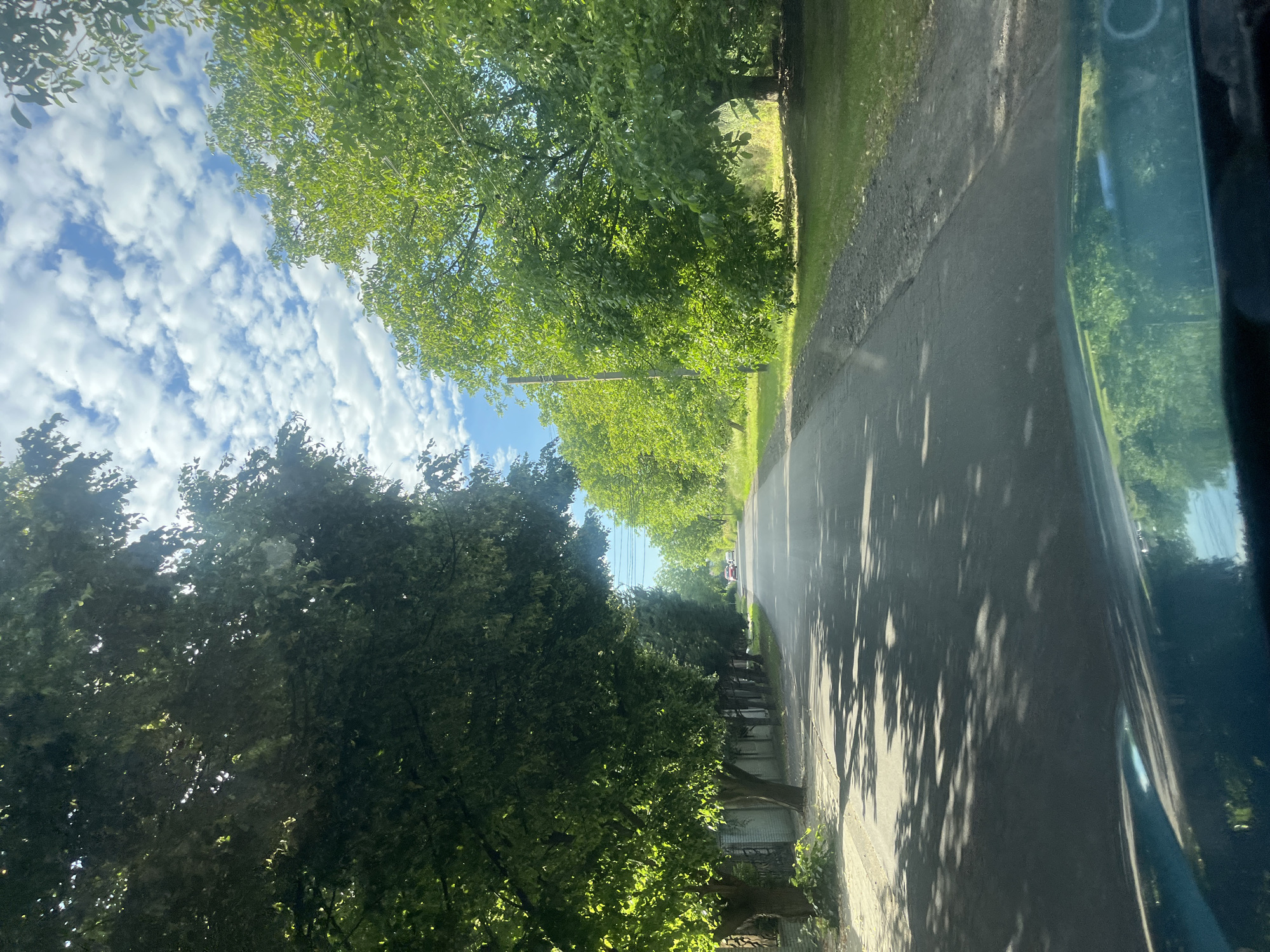 The image depicts a road in Storozhnytsia, Ukraine, lined with mature trees casting dappled shadows on the asphalt. The sky is bright blue with scattered white clouds. On the left side of the road, there is a low fence and sidewalk, while the right side features a grassy area with trees. In the distance, two red cars are visible on the road. The photo appears to have been taken from a moving vehicle, as evidenced by the reflection in the lower part of the image.