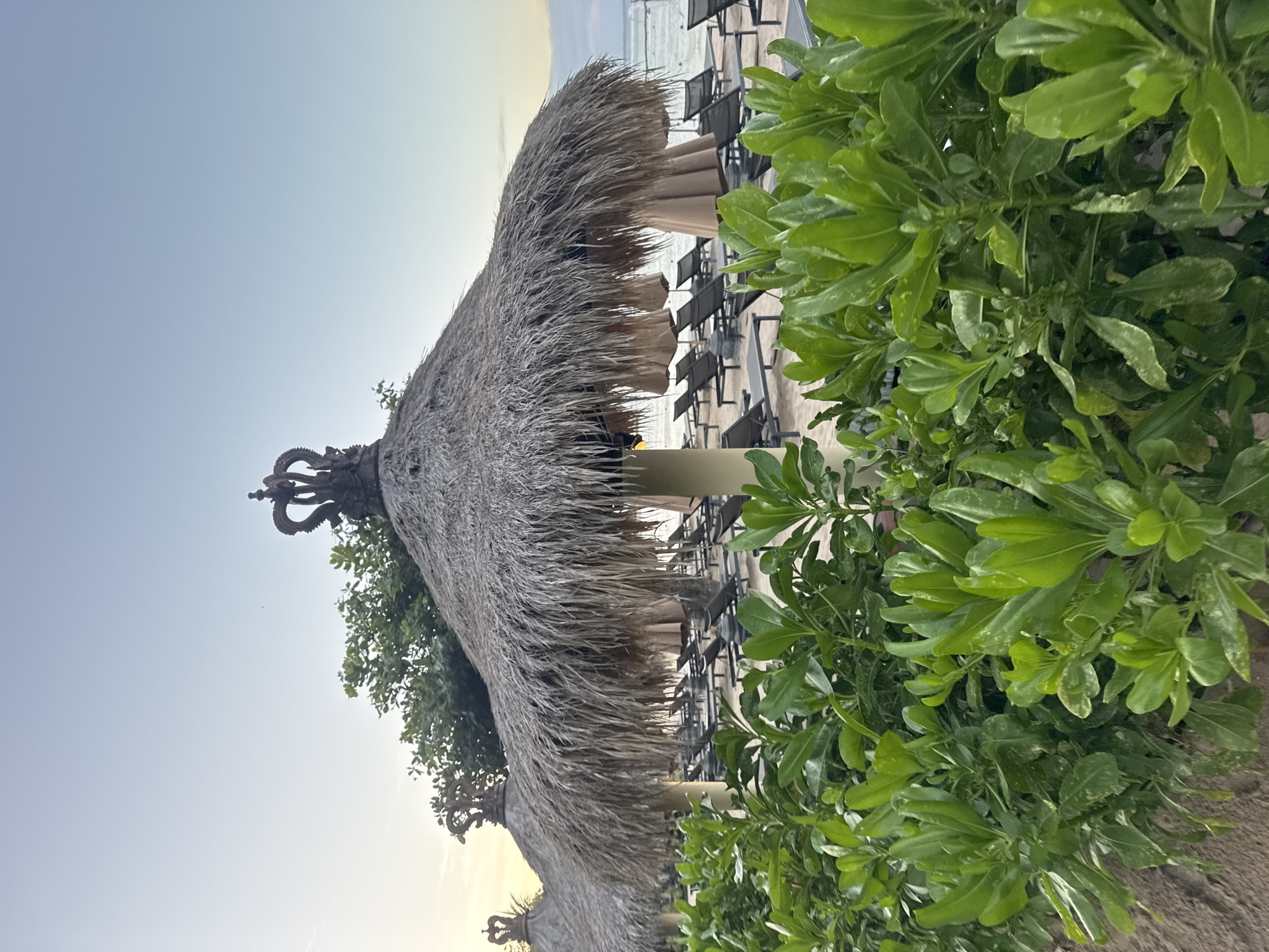 The image depicts a beach scene in Kuta Selatan, Indonesia, likely in the early morning or late afternoon given the soft lighting. In the foreground, lush green foliage forms a dense hedge. Behind the foliage, several thatched-roof umbrellas, each topped with a decorative crown-like finial, stand on the sandy beach. Beneath the umbrellas are rows of empty lounge chairs, suggesting a resort or public beach area. In the background, the calm ocean meets the horizon under a clear, pale sky. The overall impression is one of tranquility and resort ambiance.