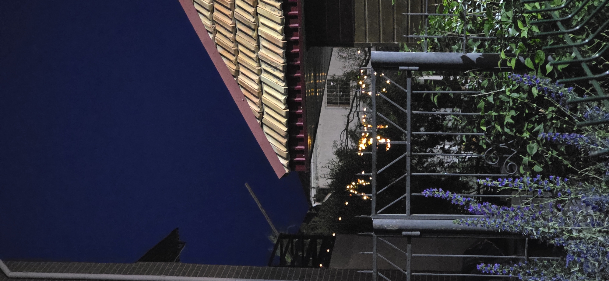 This image depicts an outdoor scene at night, possibly in Бактуу-Долоноту, Kyrgyzstan. The composition is dominated by architectural elements and lush greenery. On the left, a dark blue night sky fills a significant portion of the frame. To its right, the tiered, tiled roof of a building is visible, with a red trim. Further to the right, a metal railing and fence structure runs vertically, partially obscured by dense green foliage and blooming purple flowers. String lights are visible, casting a warm glow on the scene, suggesting a festive or decorative lighting arrangement. The overall impression is one of a residential or courtyard area at dusk or after dark. The time of day is clearly night, and the weather appears to be clear. There is no visible text in the image. The scene evokes a sense of calm and possibly enchantment due to the string lights.