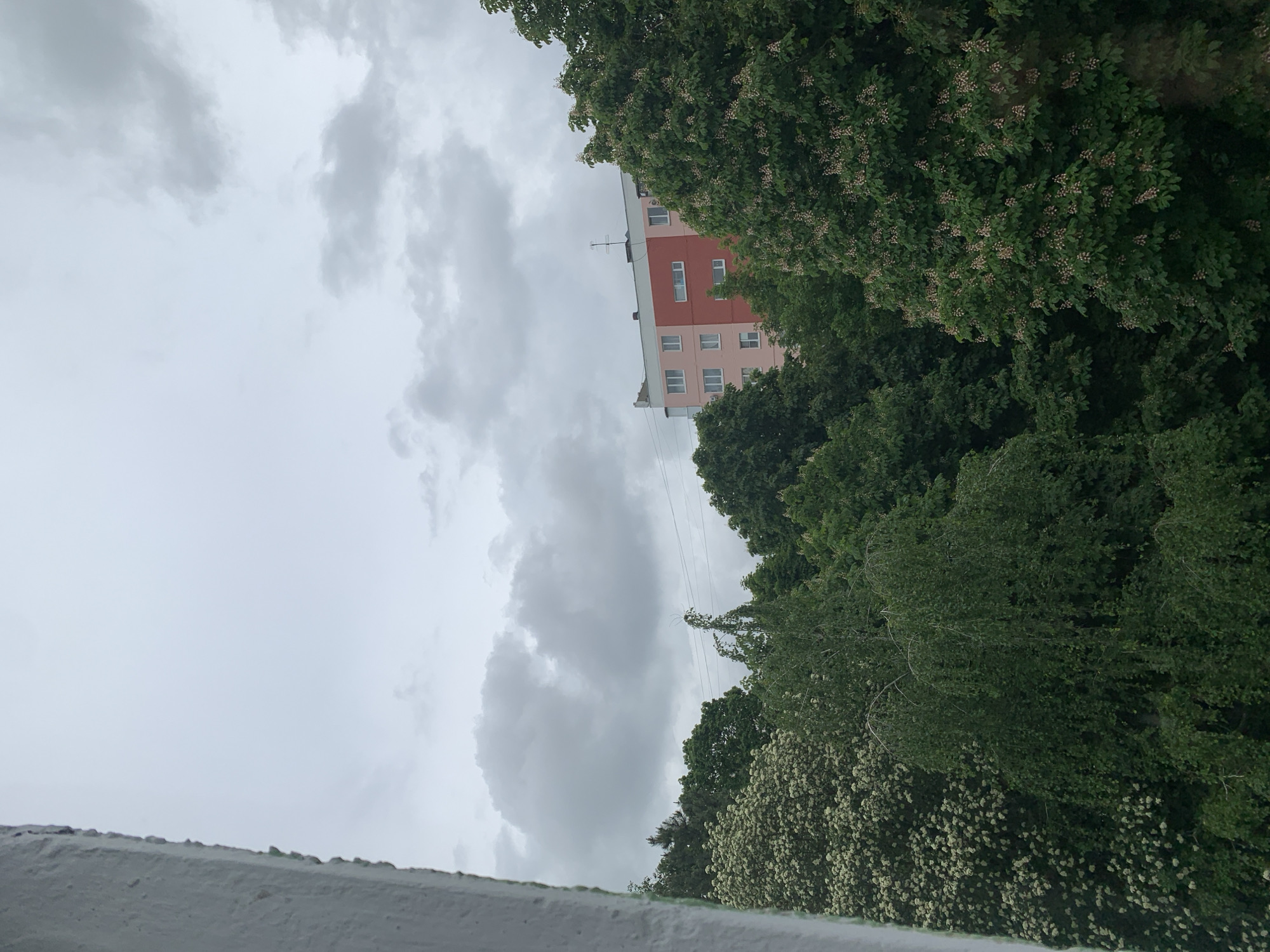 The image shows an overcast sky above a building with pink and beige facade partially obscured by trees, likely taken in Stavropol, Russia. The view is from a low vantage point, possibly from a balcony or rooftop, as a white concrete edge is visible in the foreground. Trees with green leaves and some white blossoms are situated on the right side of the frame. The overcast sky is filled with grey clouds. Powerlines can be seen in the gap between the building and the trees.