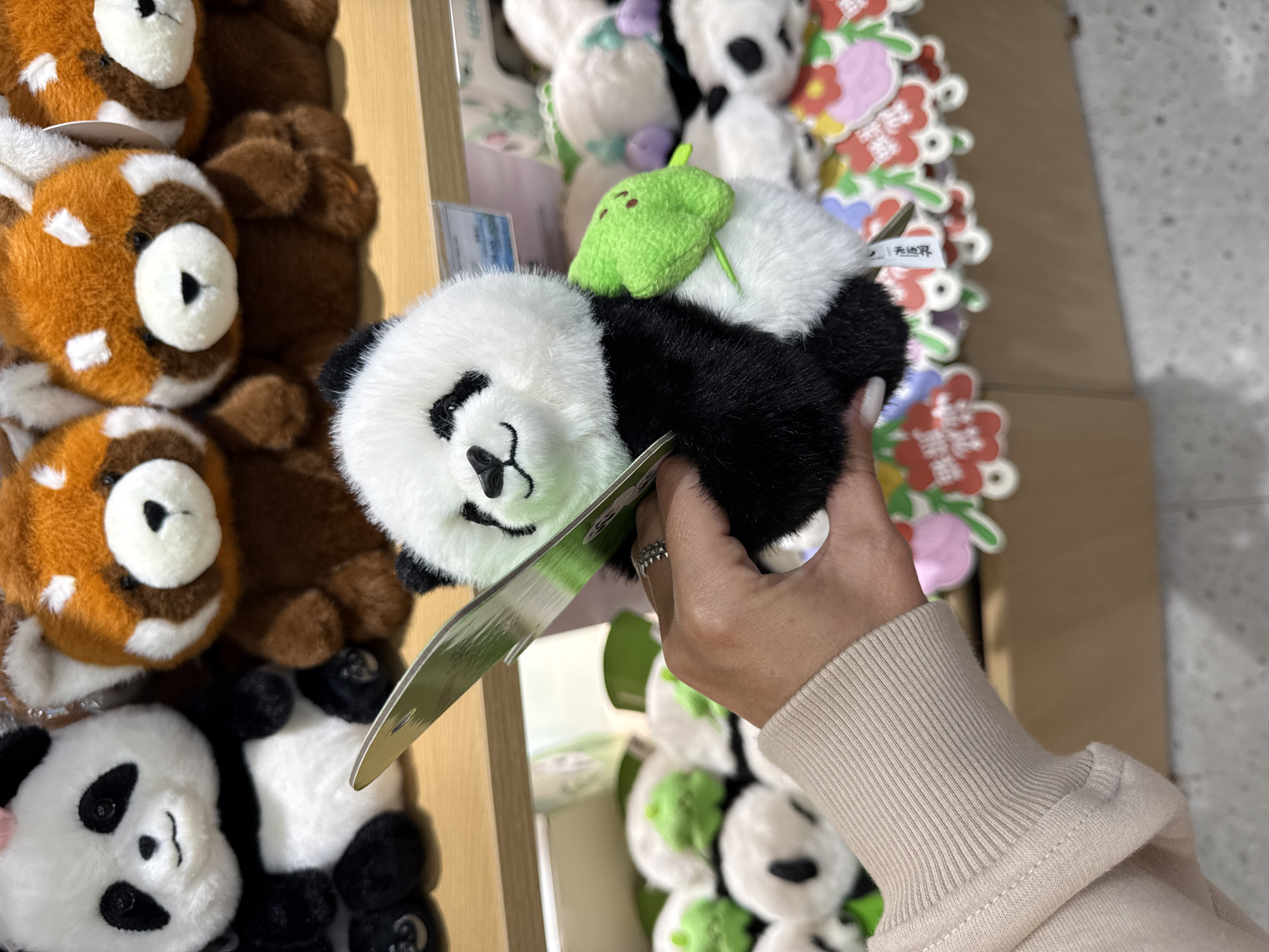 A person is holding a panda plush toy in front of a display shelf filled with more plush toys, including pandas and red pandas. The person's hand, adorned with a ring, is holding the panda's arm and a price tag is visible. The background shows a retail environment, likely a store, with shelving and other merchandise. This scene is located in Chenghua District, China.